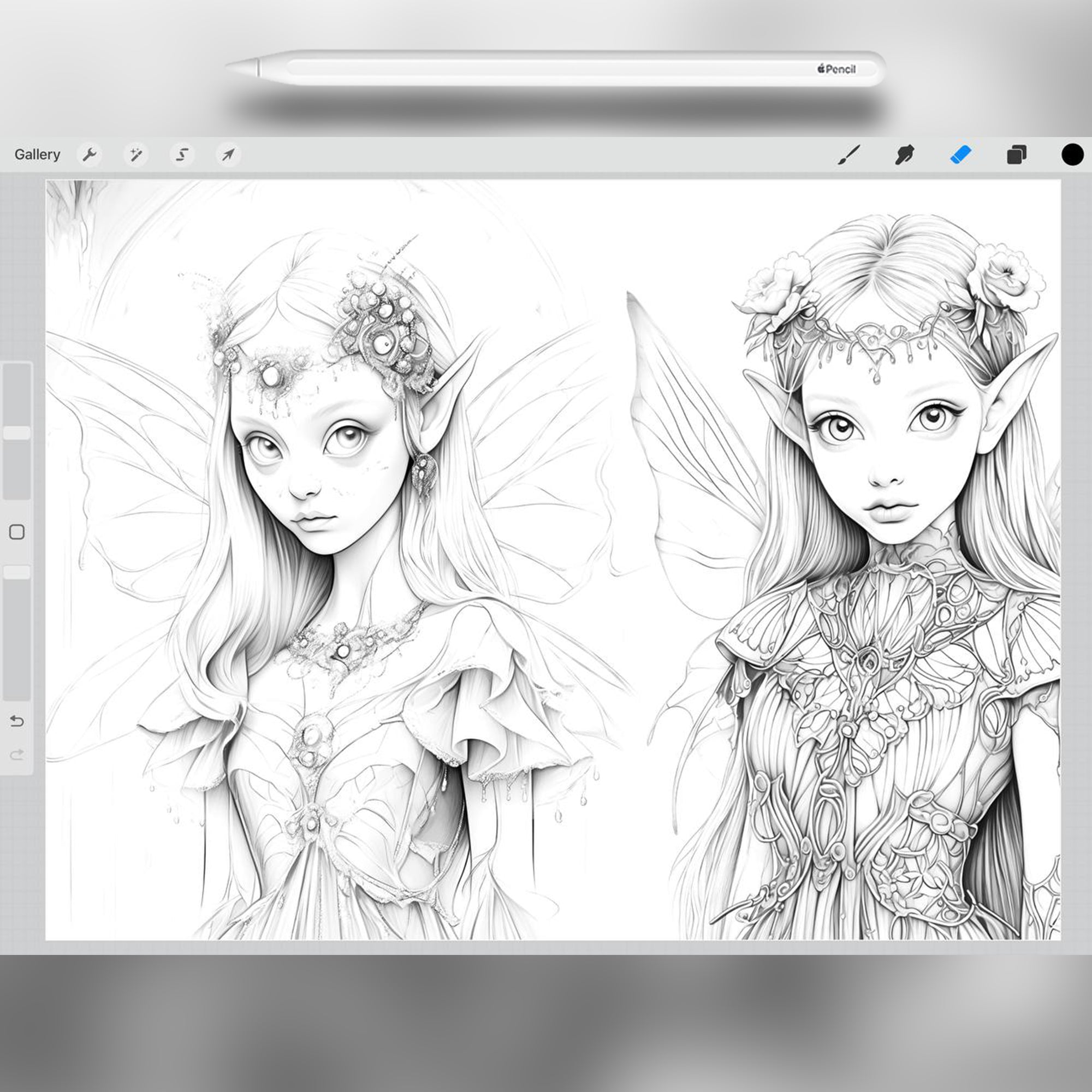 37 Magical Wings Stamp Brushes for Procreate and Photoshop