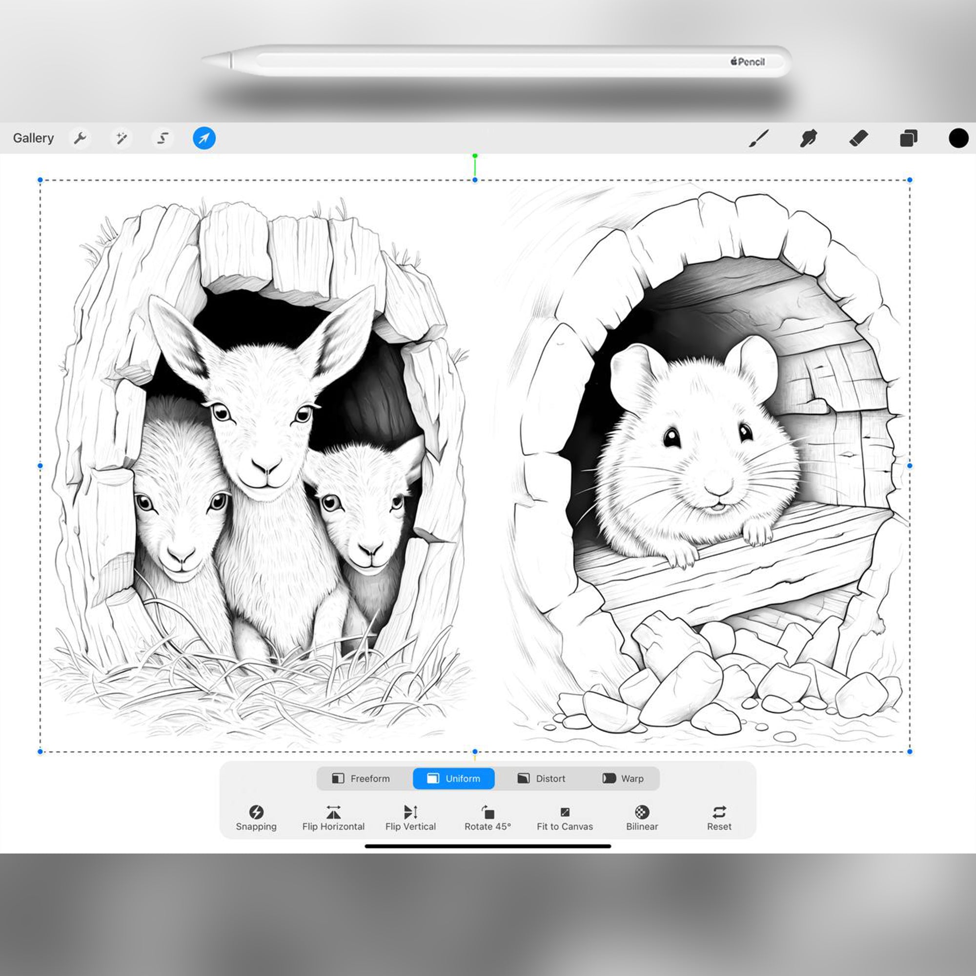 40 Animals Home Stamp Brushes for Procreate and Photoshop