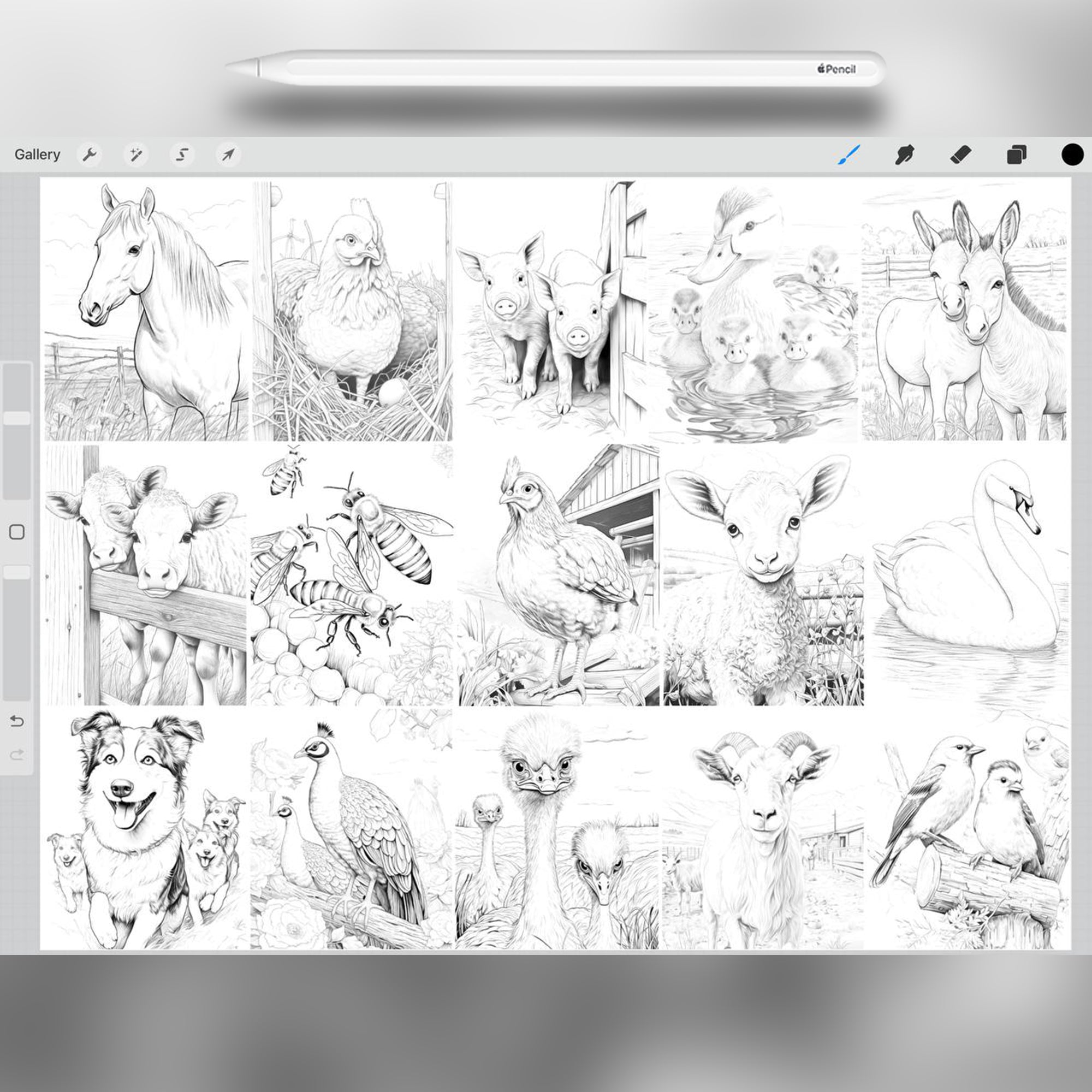 50 Farm Animals Stamp Brushes for Procreate and Photoshop