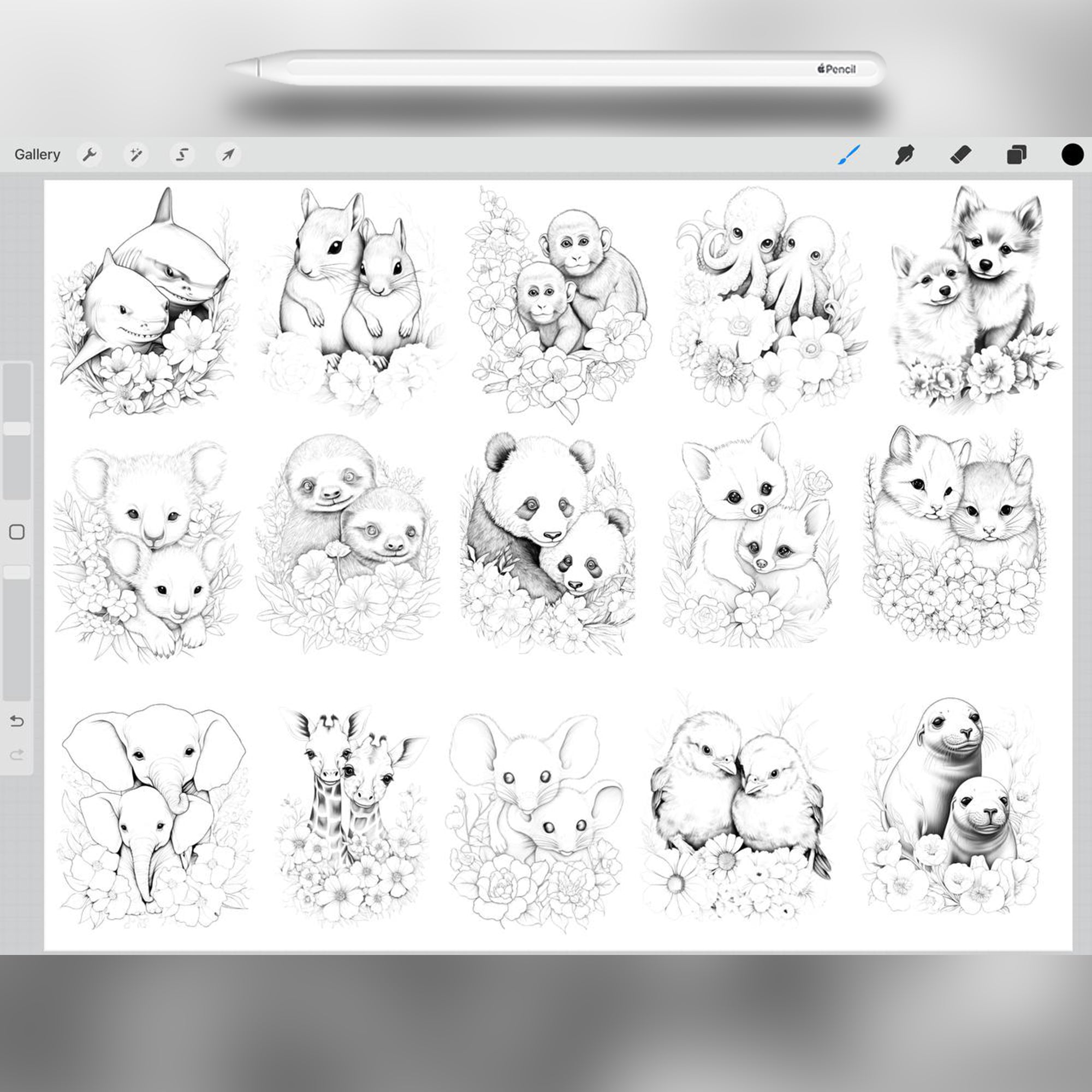 37 Animals Couple Stamp Brushes for Procreate and Photoshop