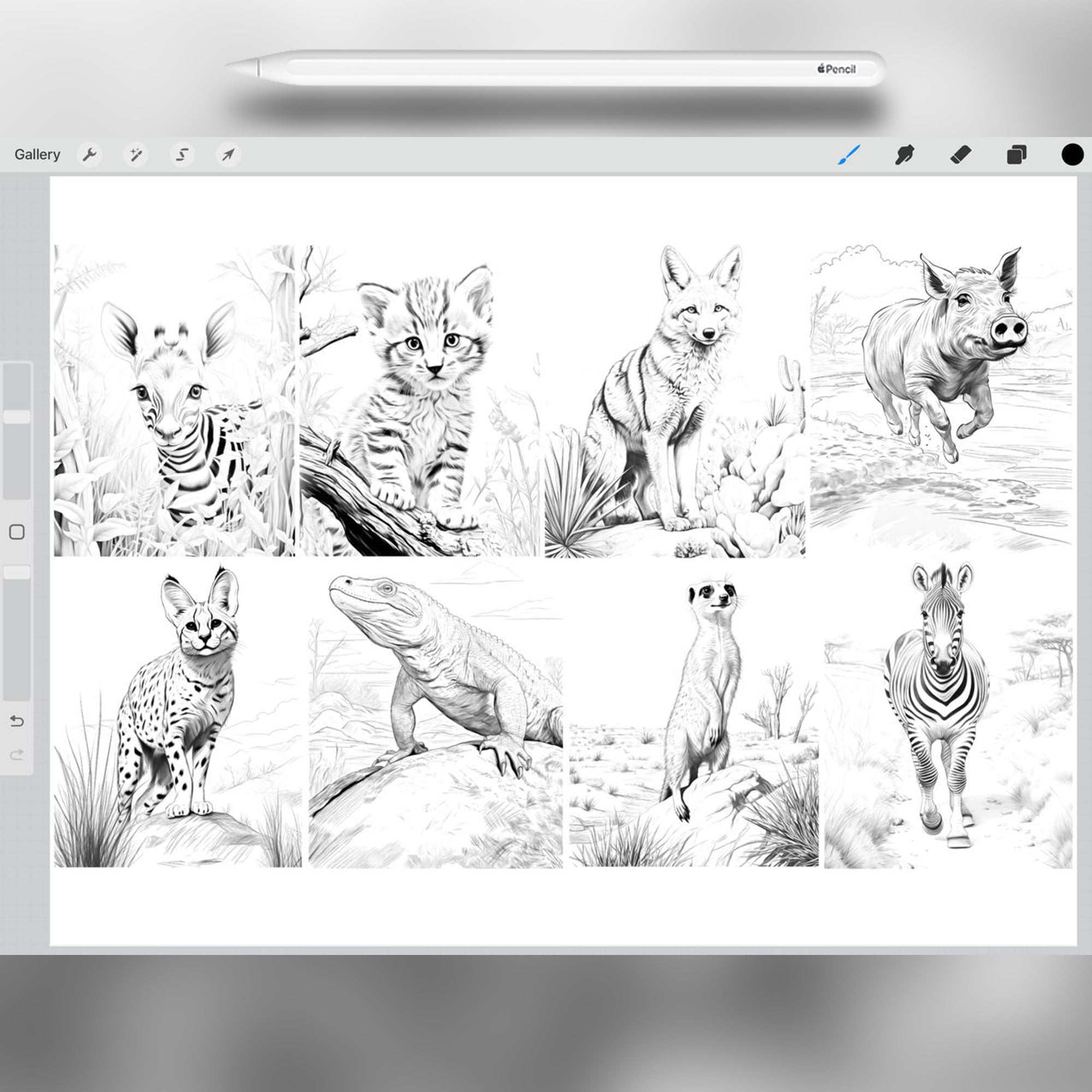 30 Safari Animals Brushes for Procreate and Photoshop