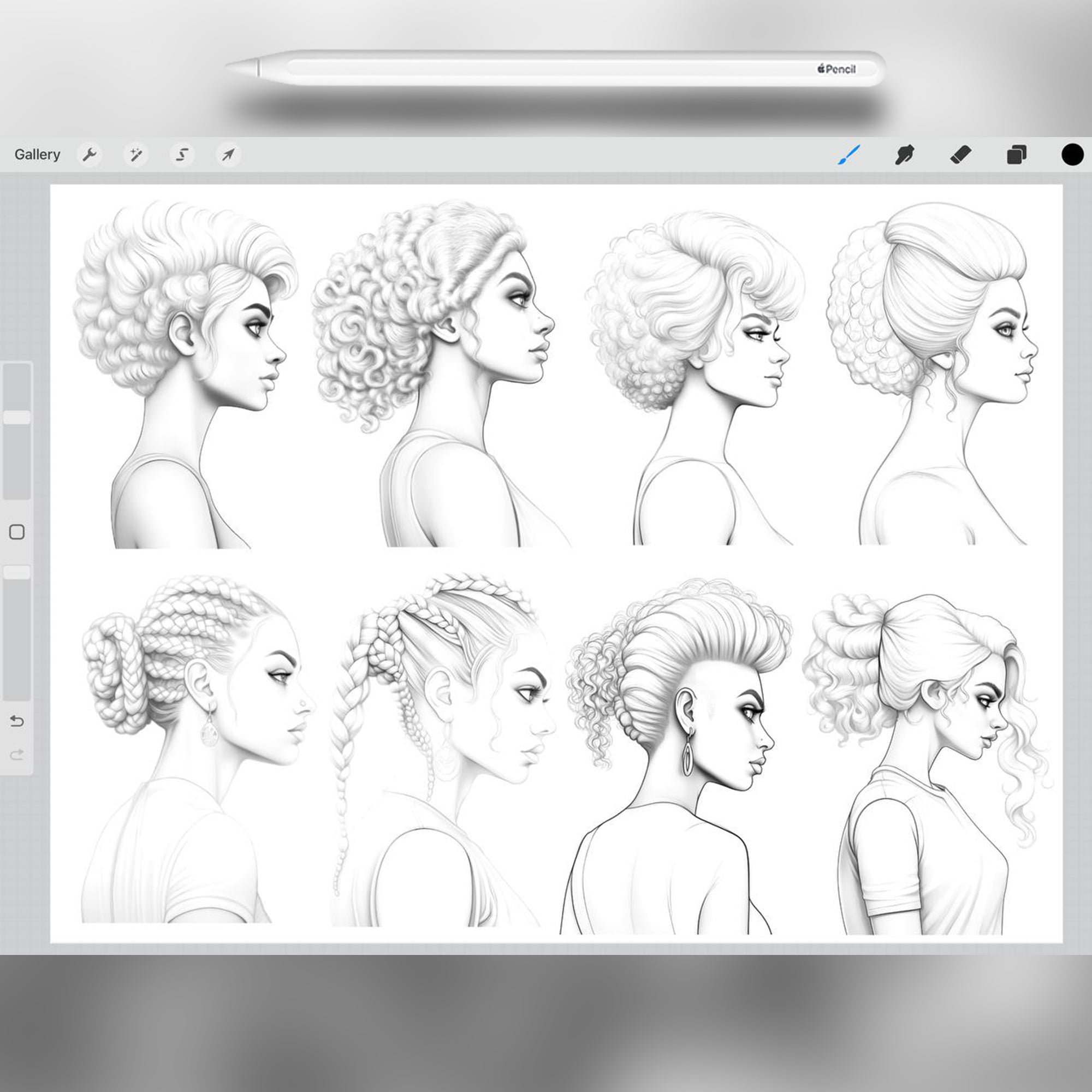 50 Afro Hairstyle Brushes for Procreate and Photoshop