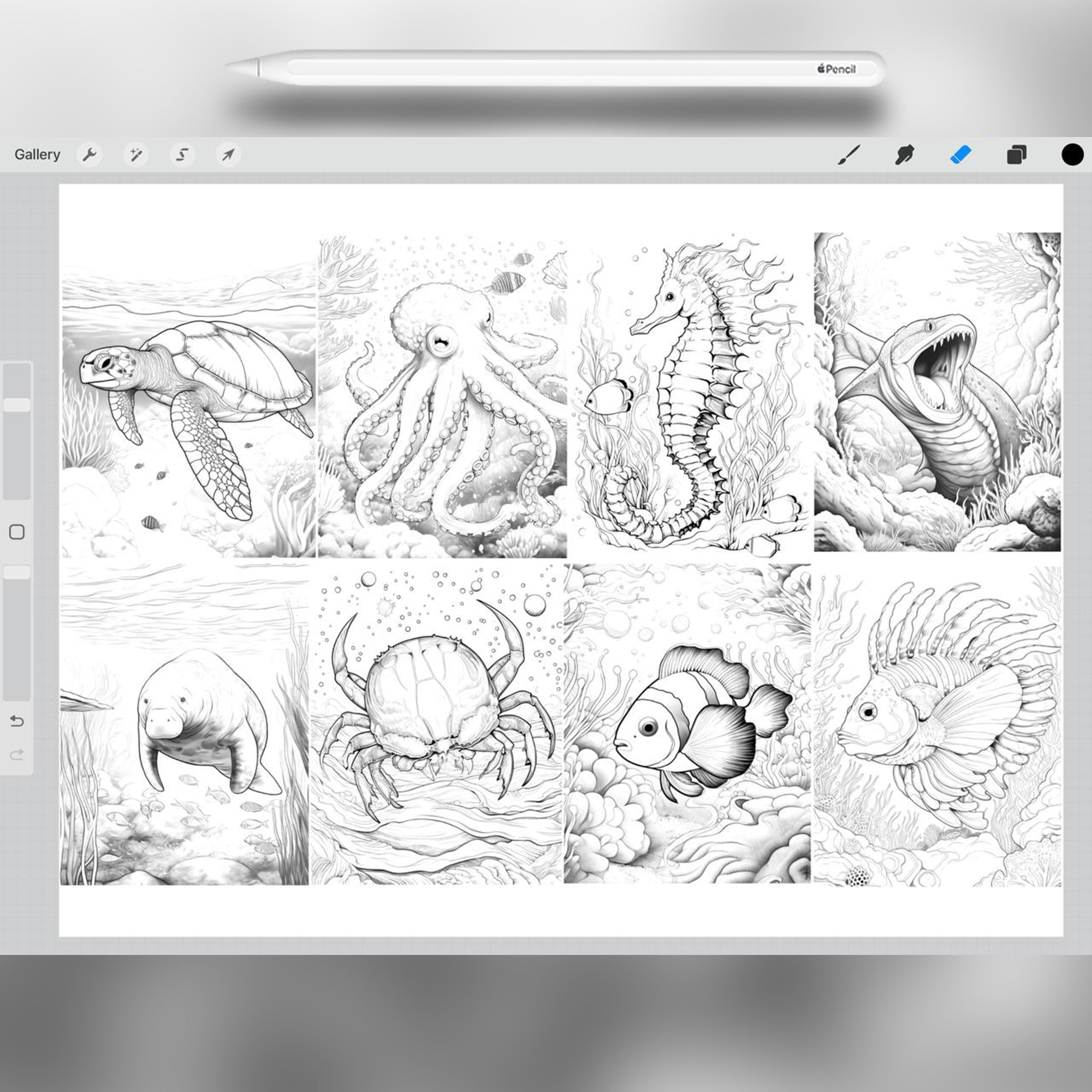60 Underwater Animals Brushes for Procreate and Photoshop