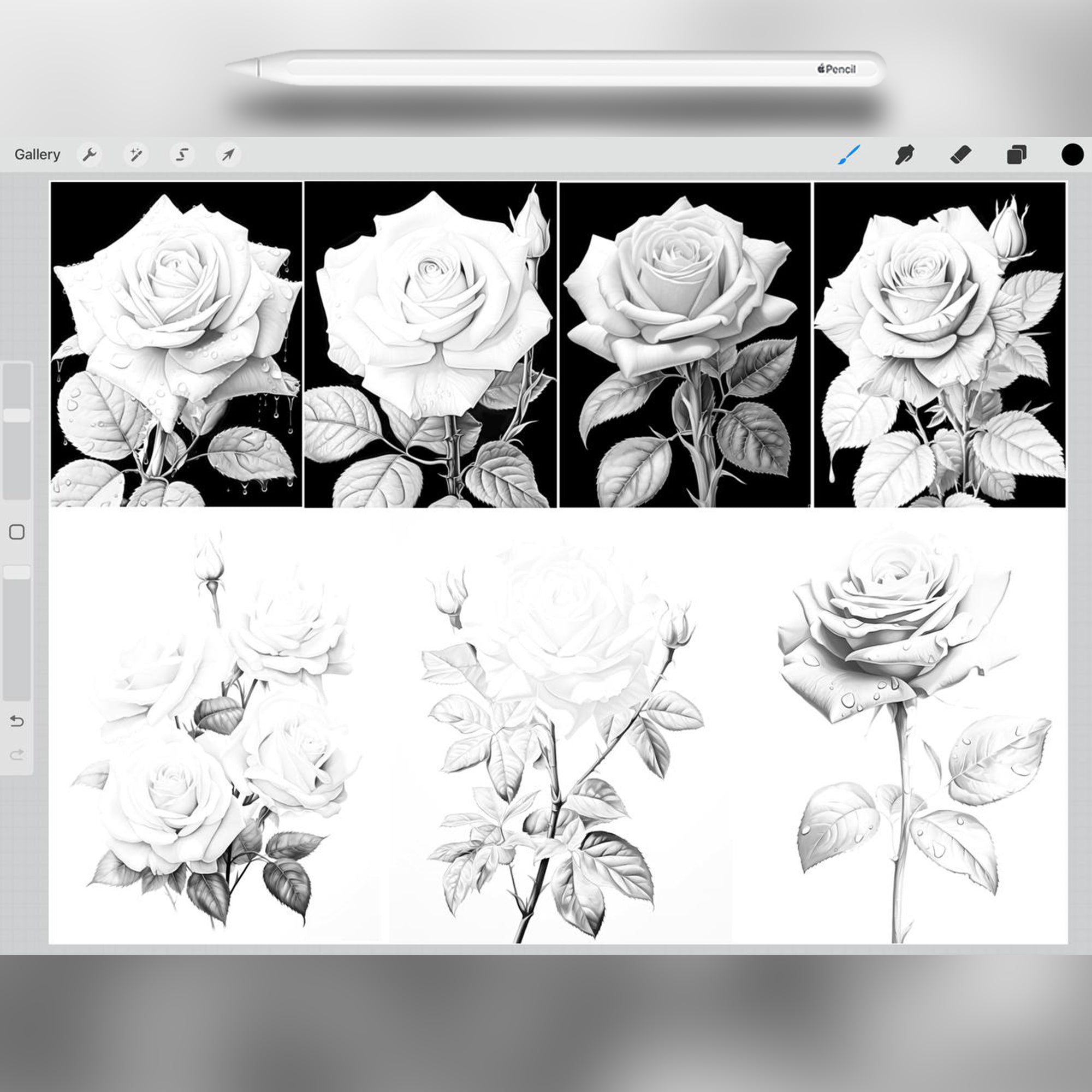 36 Roses Procreate Stamp Brushes