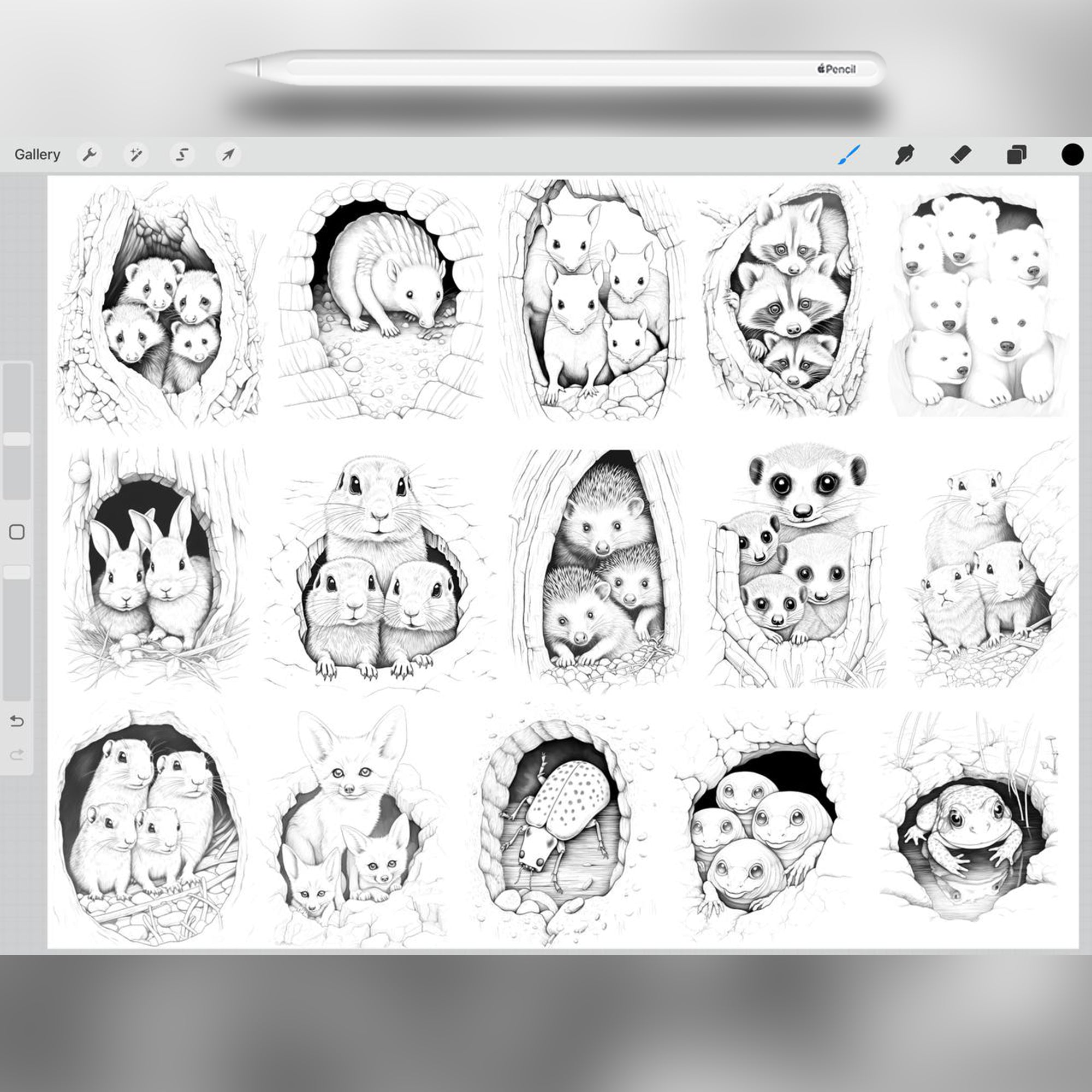 50 Cozy Hole Stamp Brushes for Procreate and Photoshop