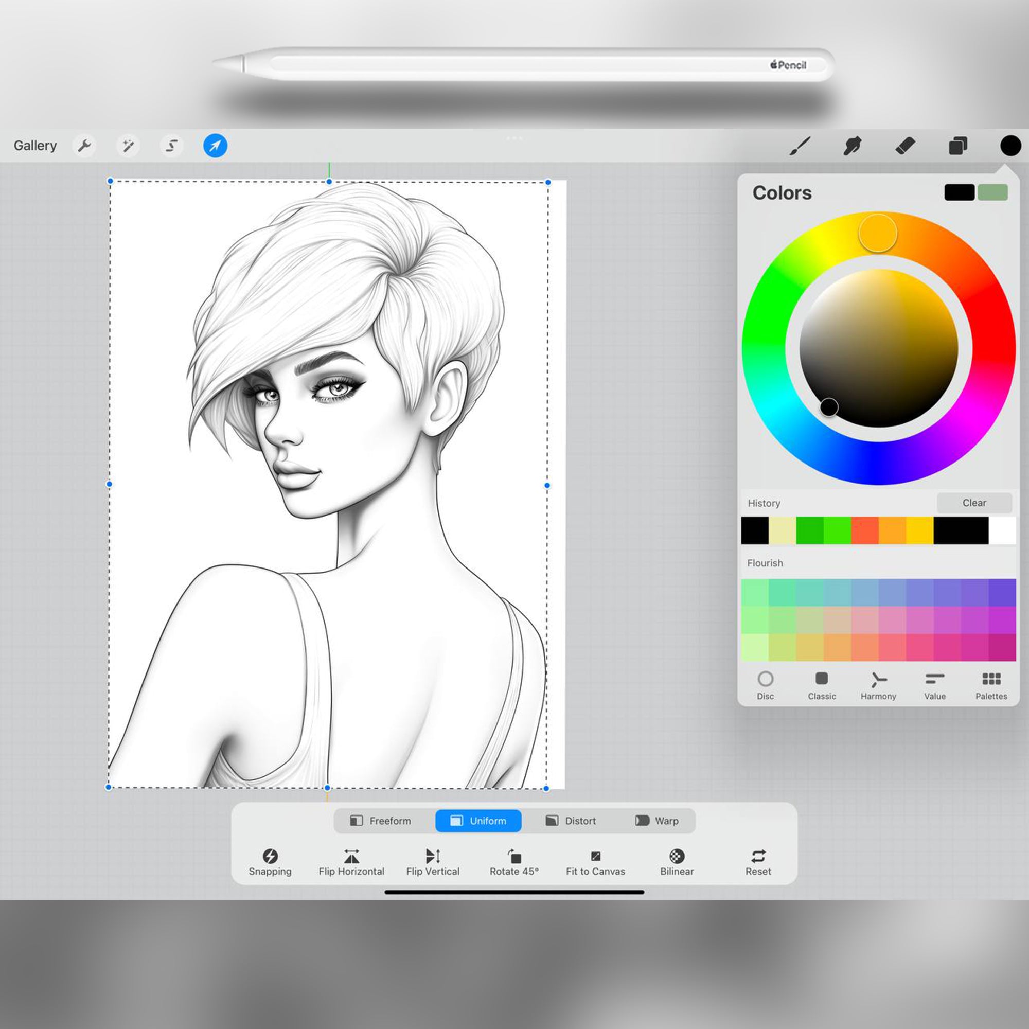50 Pixie Hairstyle Brushes for Procreate and Photoshop