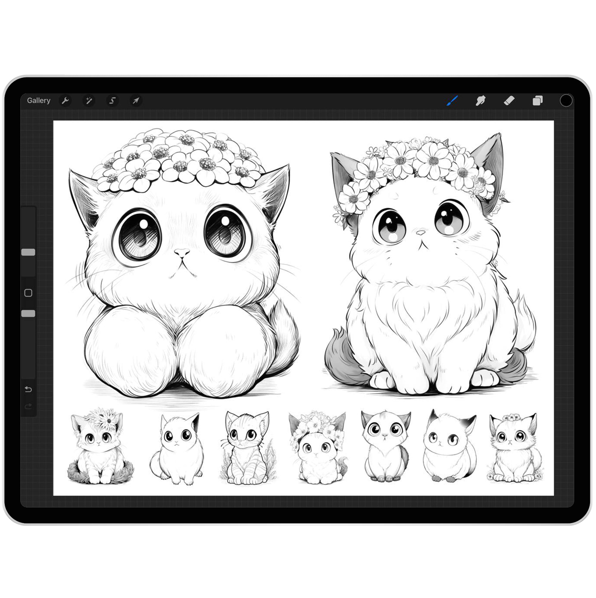 36 Cute Cats Brushes for Procreate and Photoshop