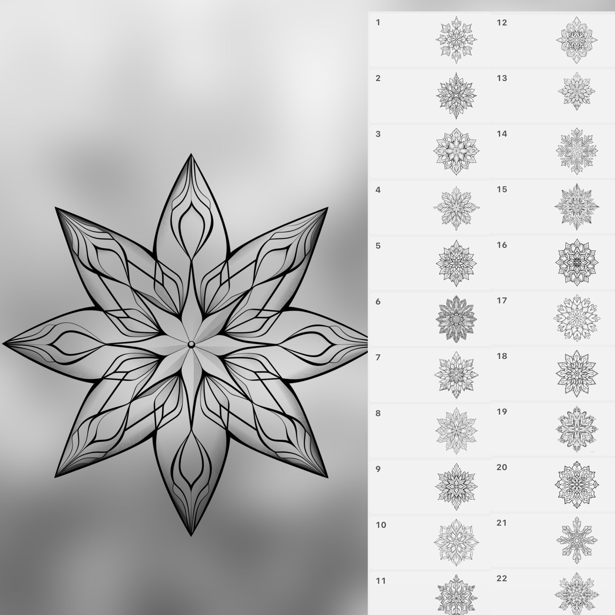 100 Procreate Snowflakes Stamps Brushes