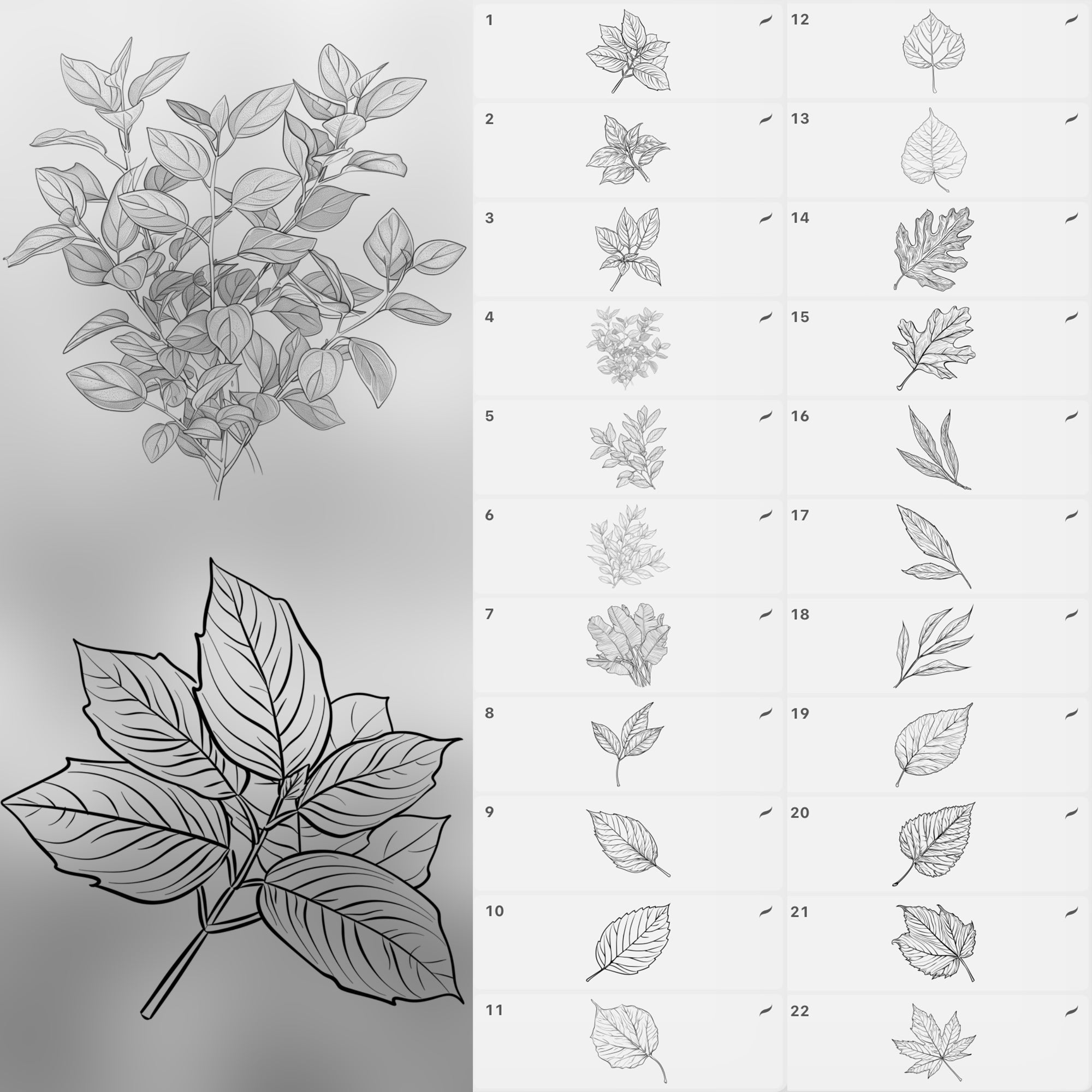 100 Procreate Leaves Stamp Brushes