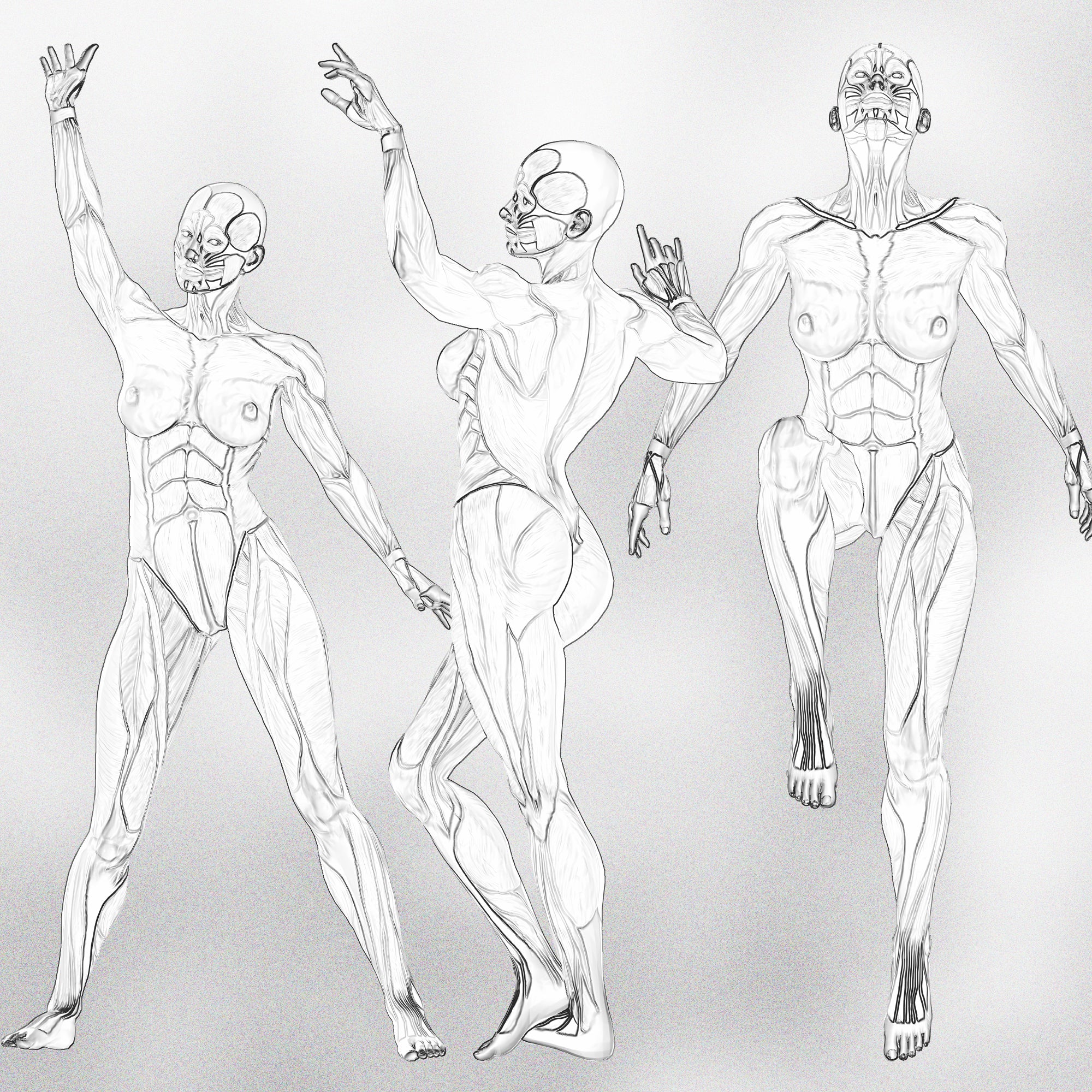 130 Procreate Female Muscular Poses Stamps