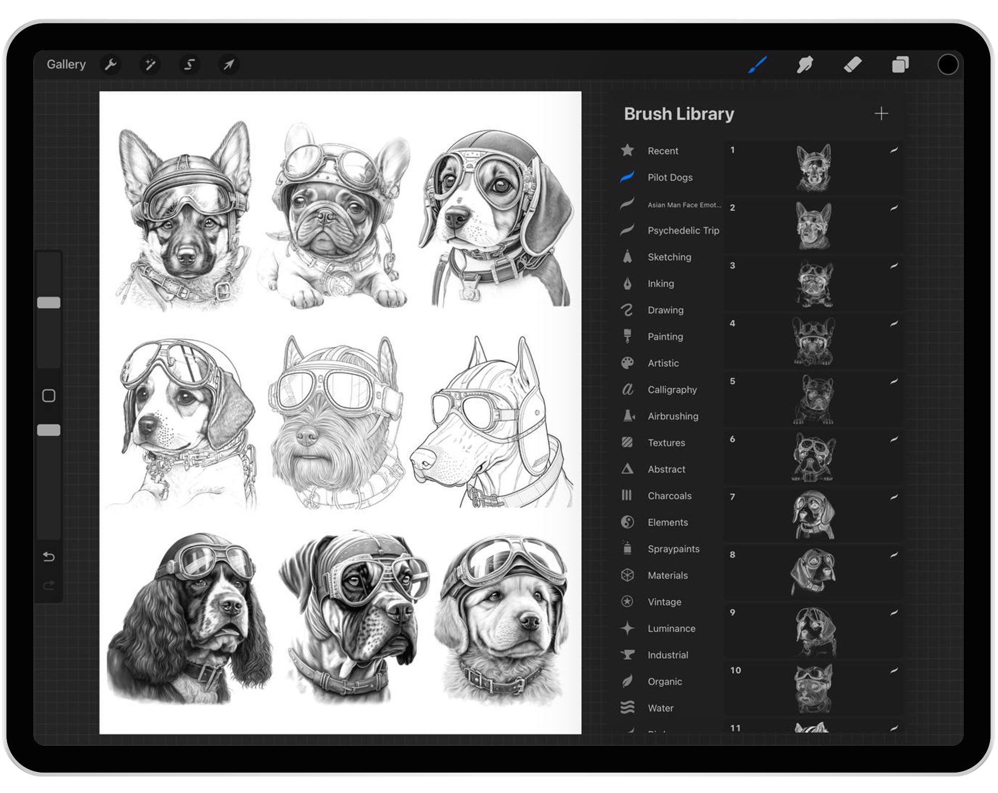 33 Procreate Pilot Dogs Stamp Brushes