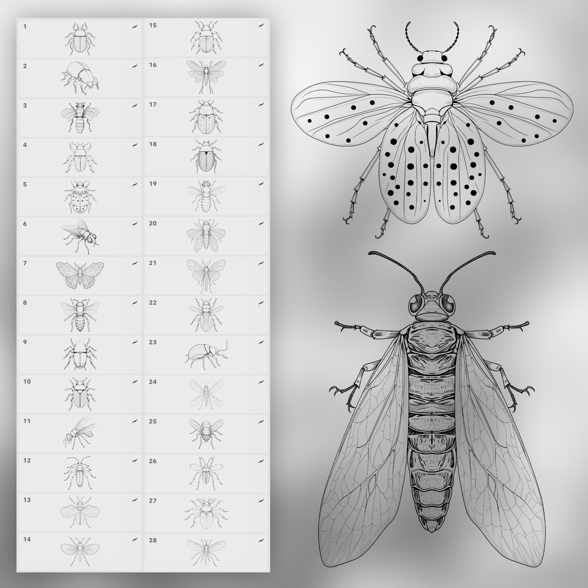 110 Procreate Beetles Stamp Brushes