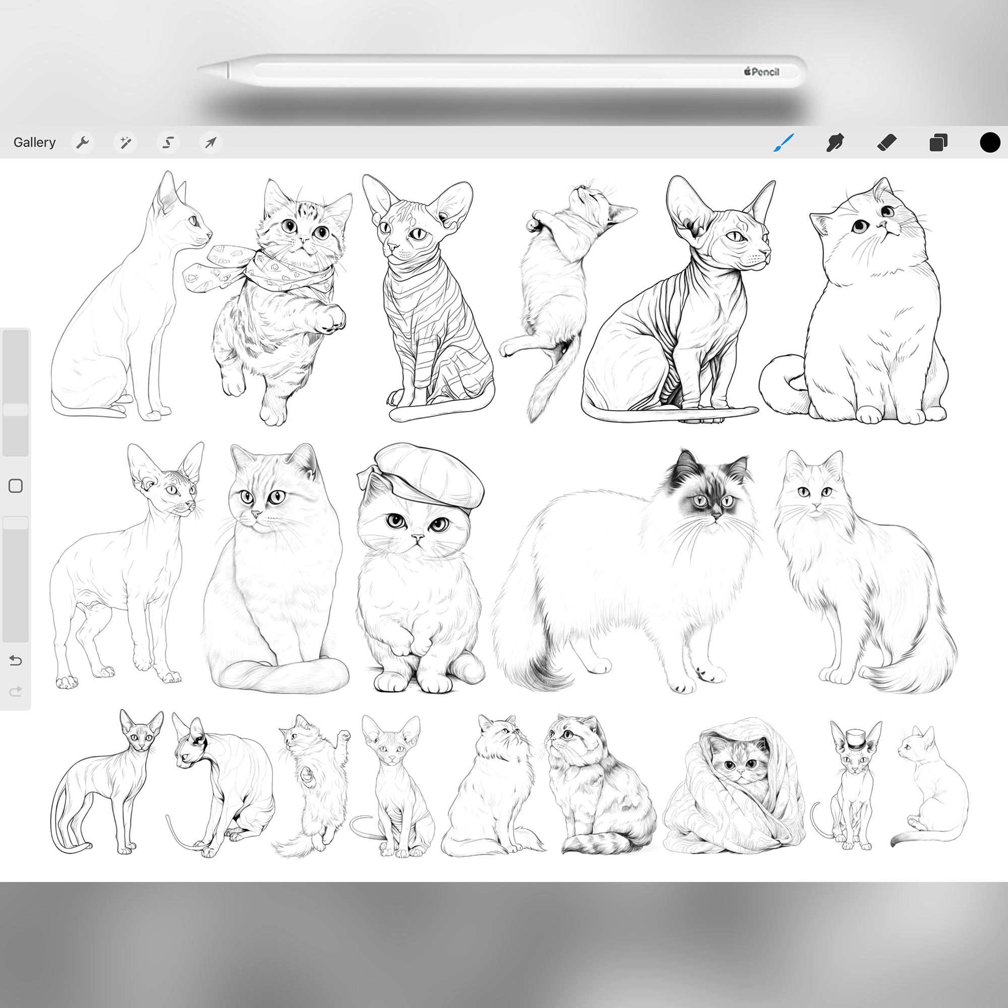 100 Procreate Cats Stamp Brushes