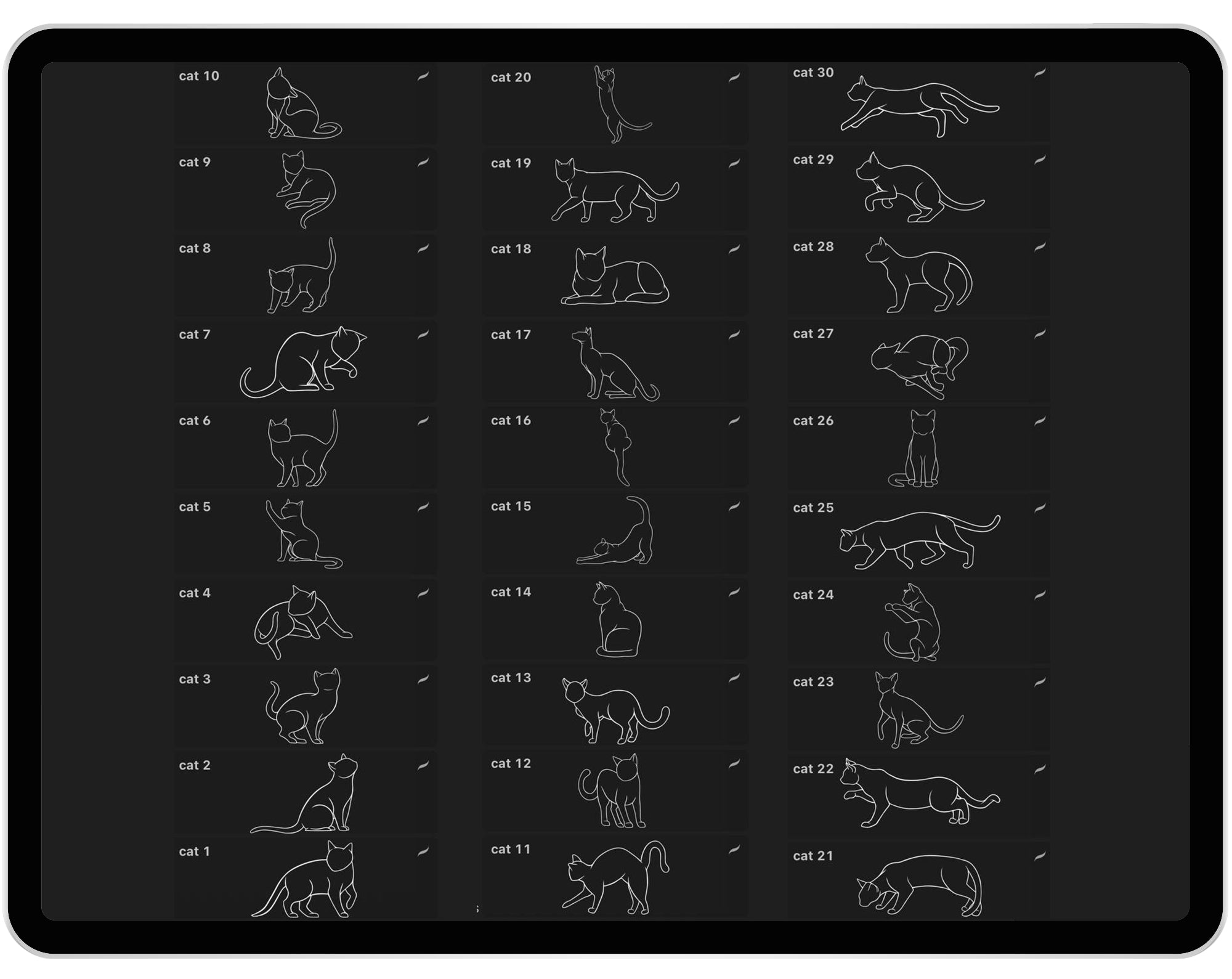 30 Procreate Cat Stamp Brushes