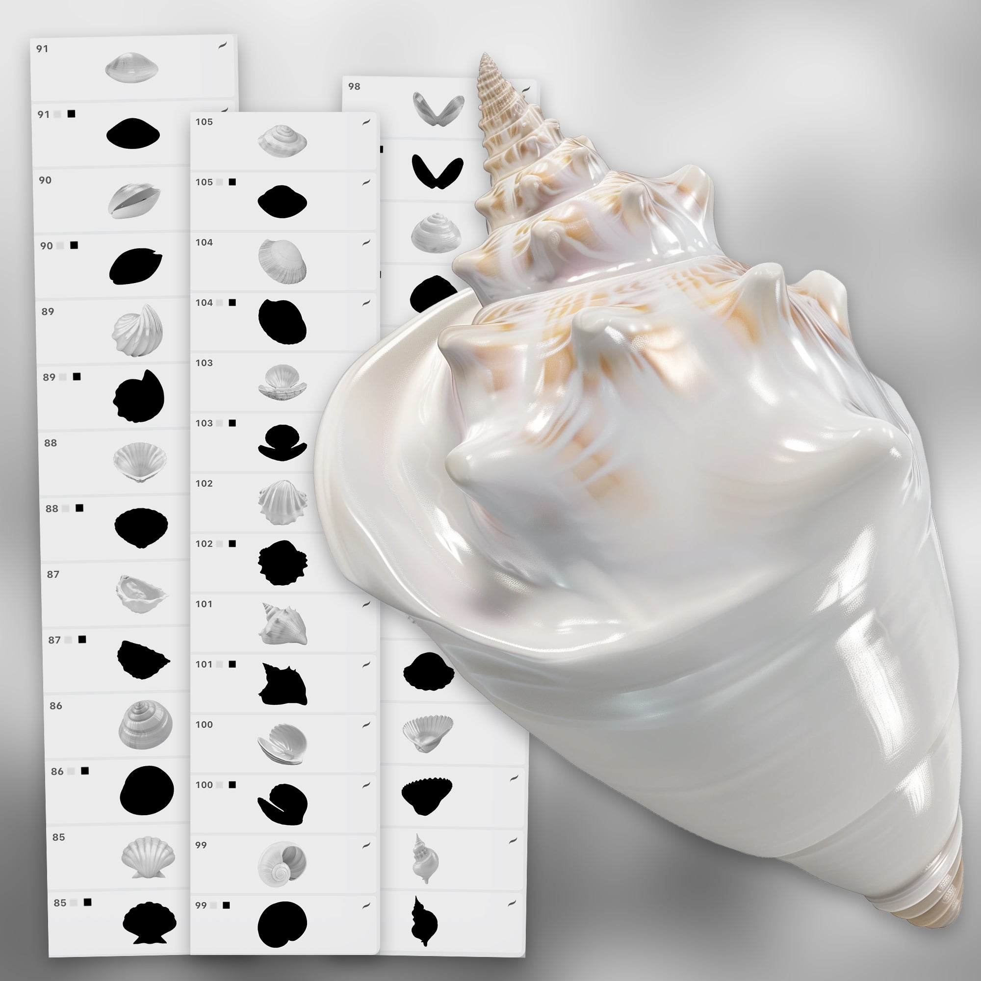 120 Procreate 2D Seashells Stamps Brushes