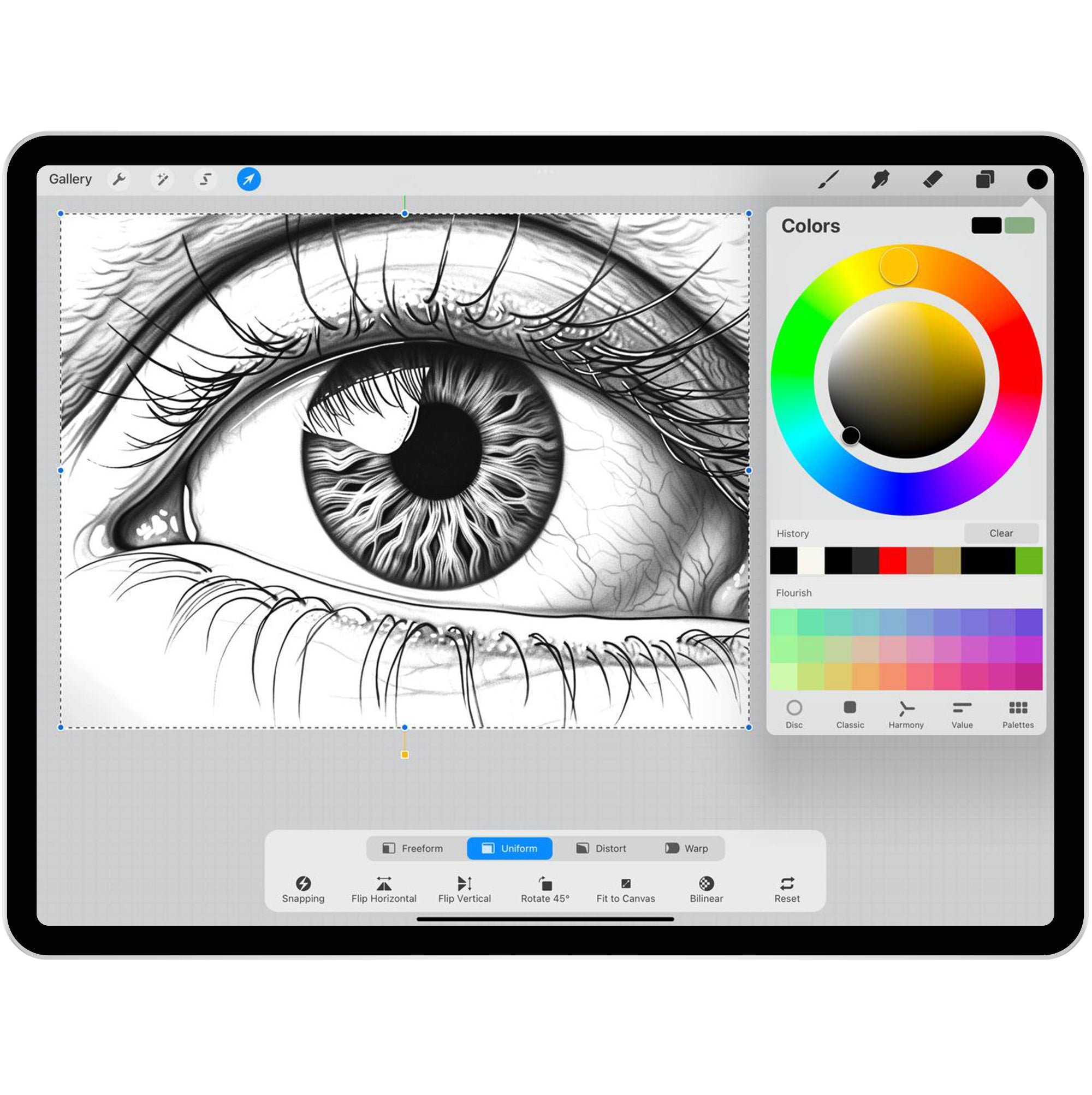 40 Realistic Eyes Procreate Brushes