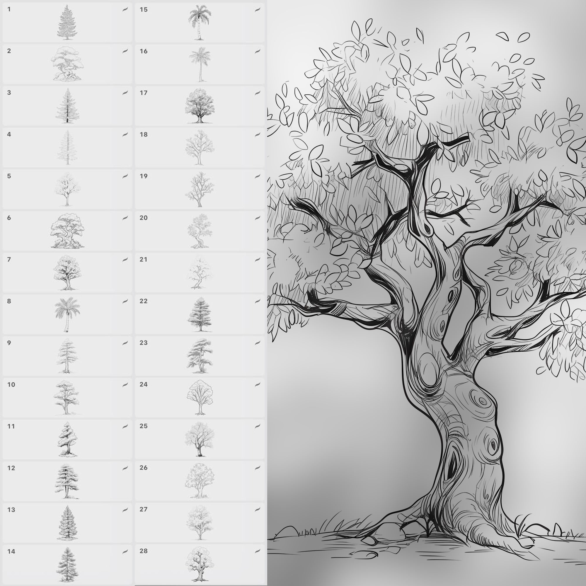 150 Procreate Tree Stamps Brushes
