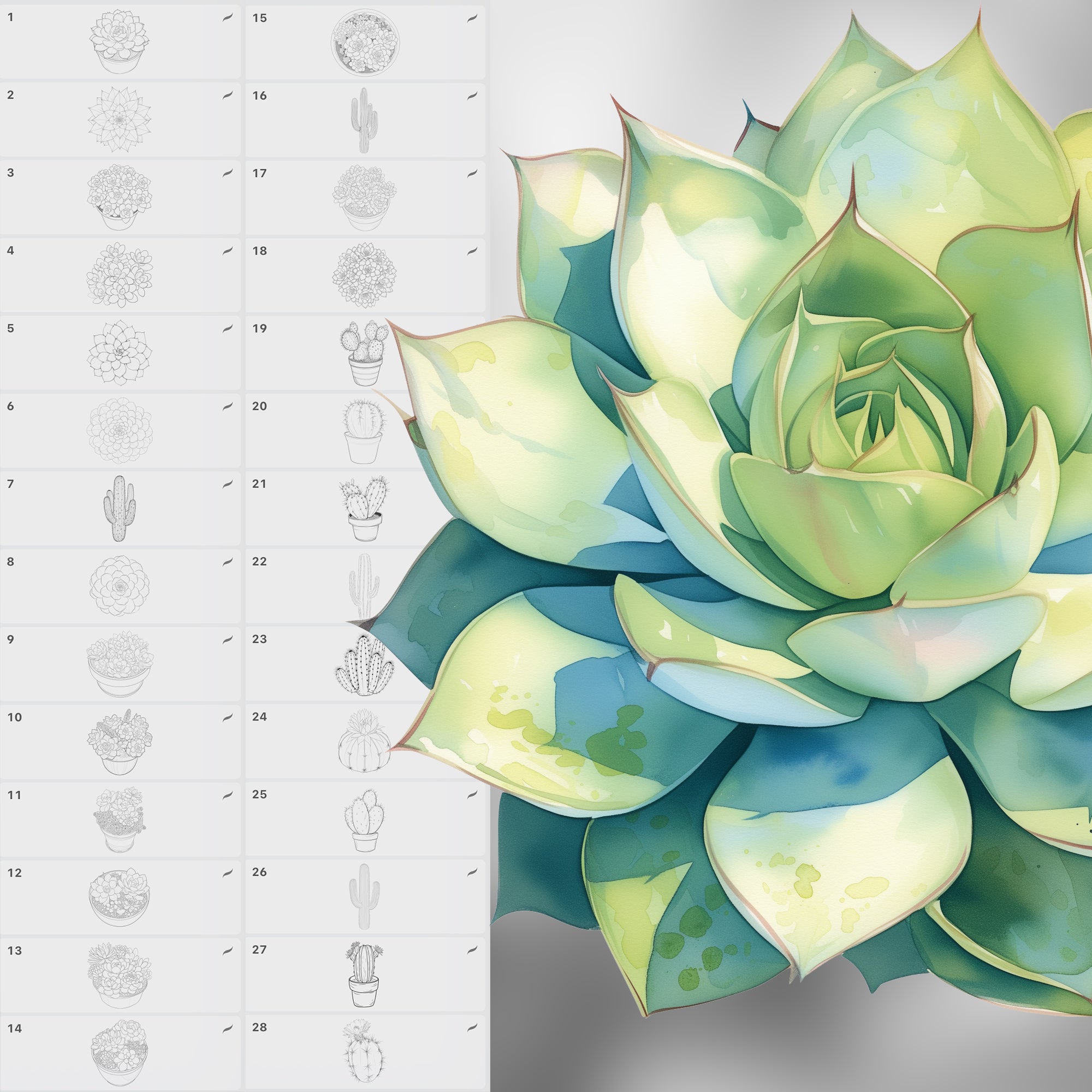 150 Procreate Cactus Stamp Brushes