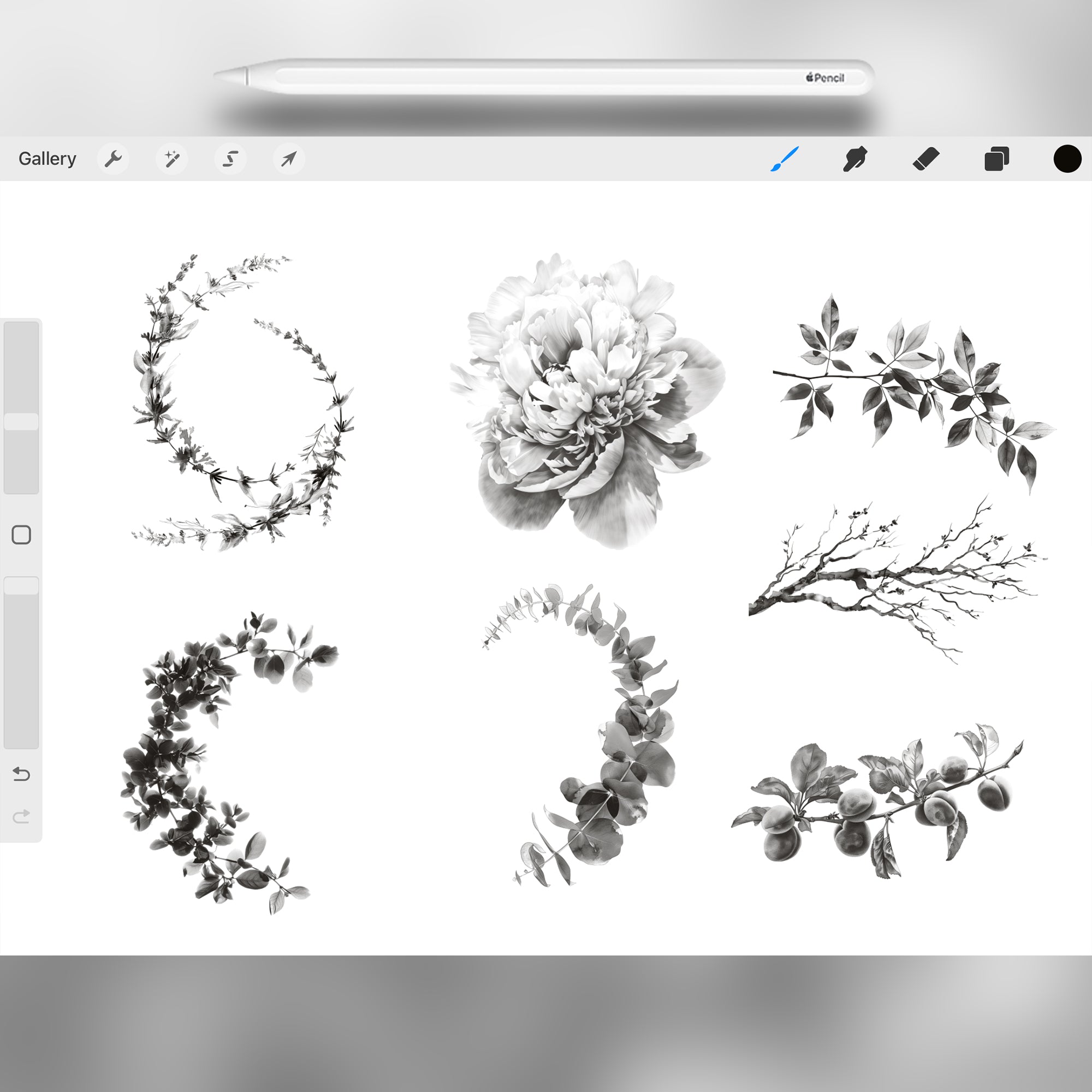 100 Procreate Watercolor Tree Branch Stamp Brushes