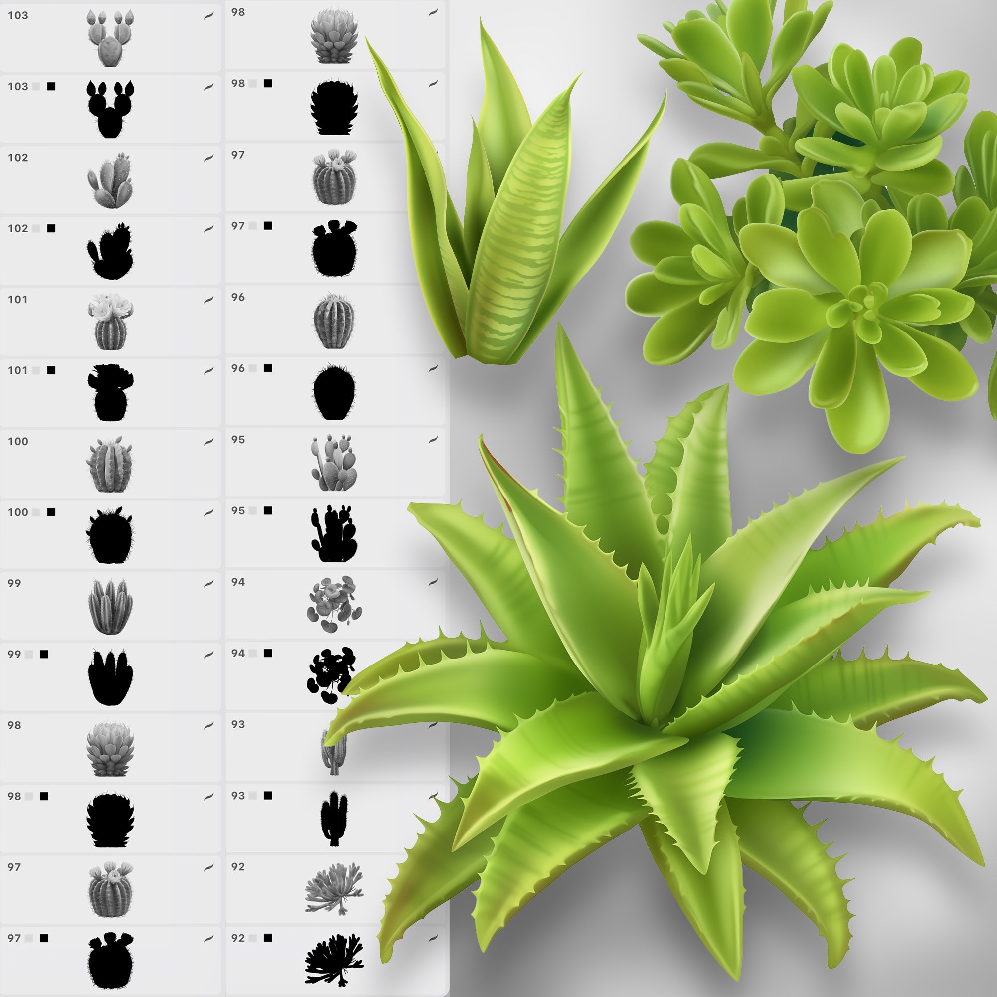 100 Procreate 2D Cactuses Stamp Brushes
