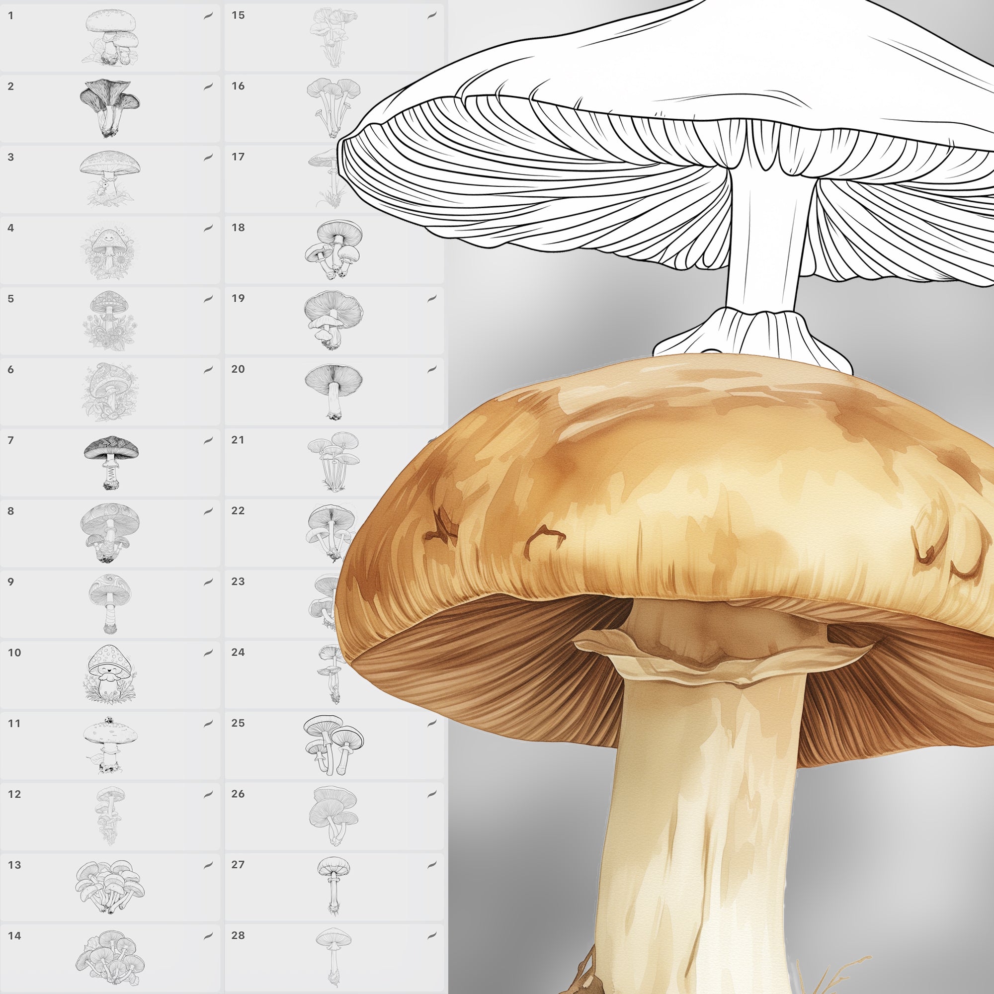 100 Procreate Mushrooms Stamp Brushes