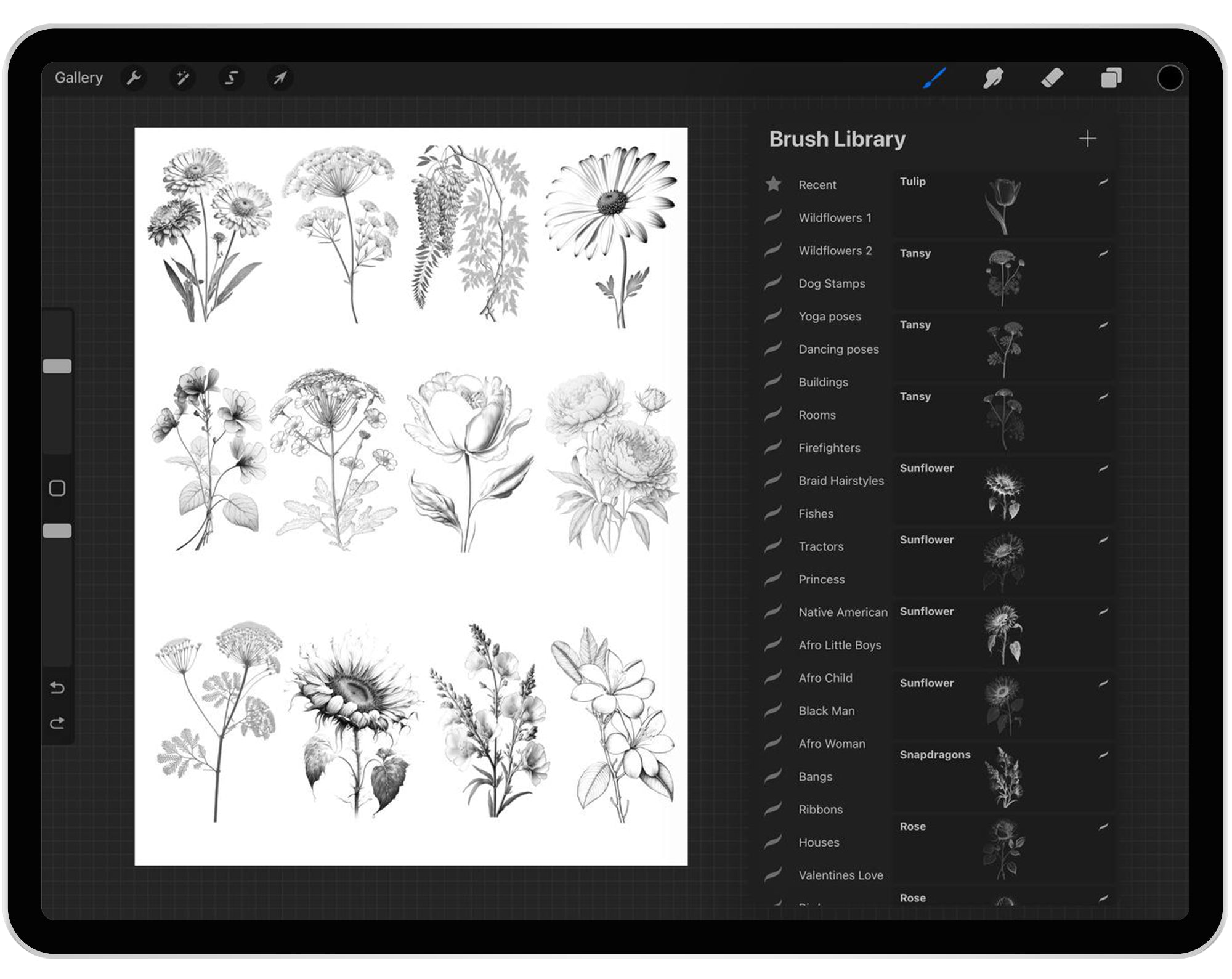 75 Procreate Wildflowers Part - 1 Stamp Brushes