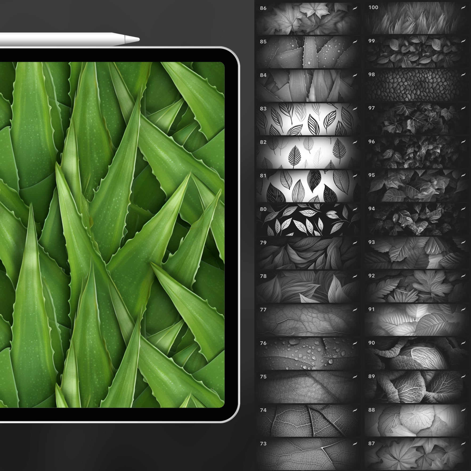 100 Procreate Leaf Texture Brushes