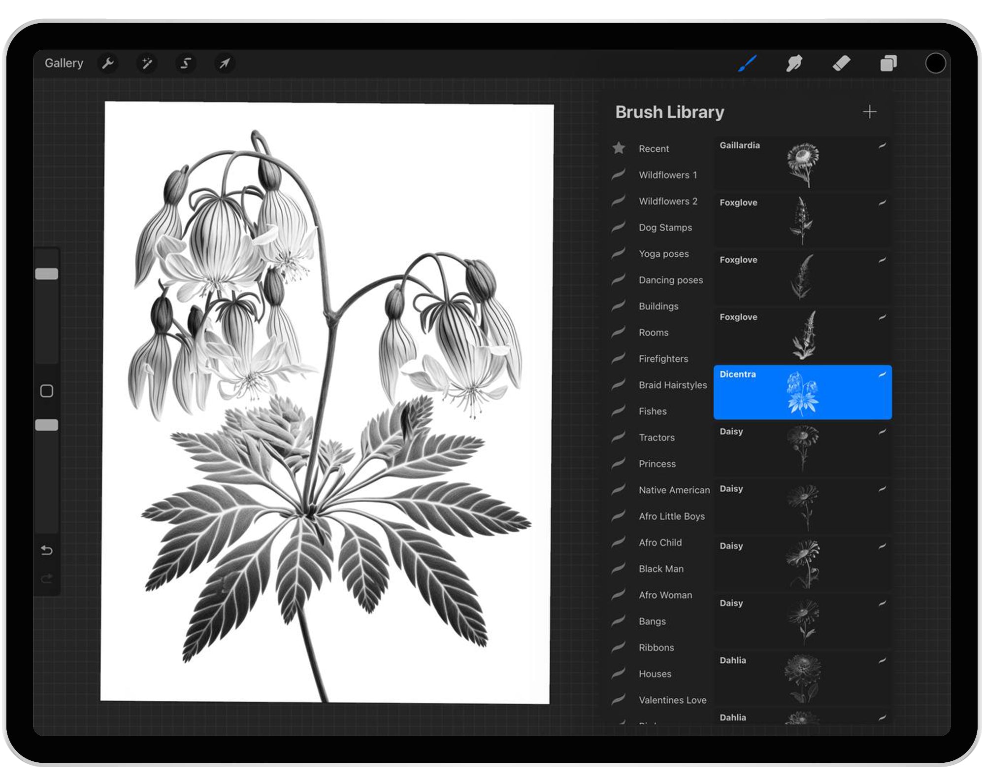 80 Procreate Wildflowers Part - 2 Stamp Brushes