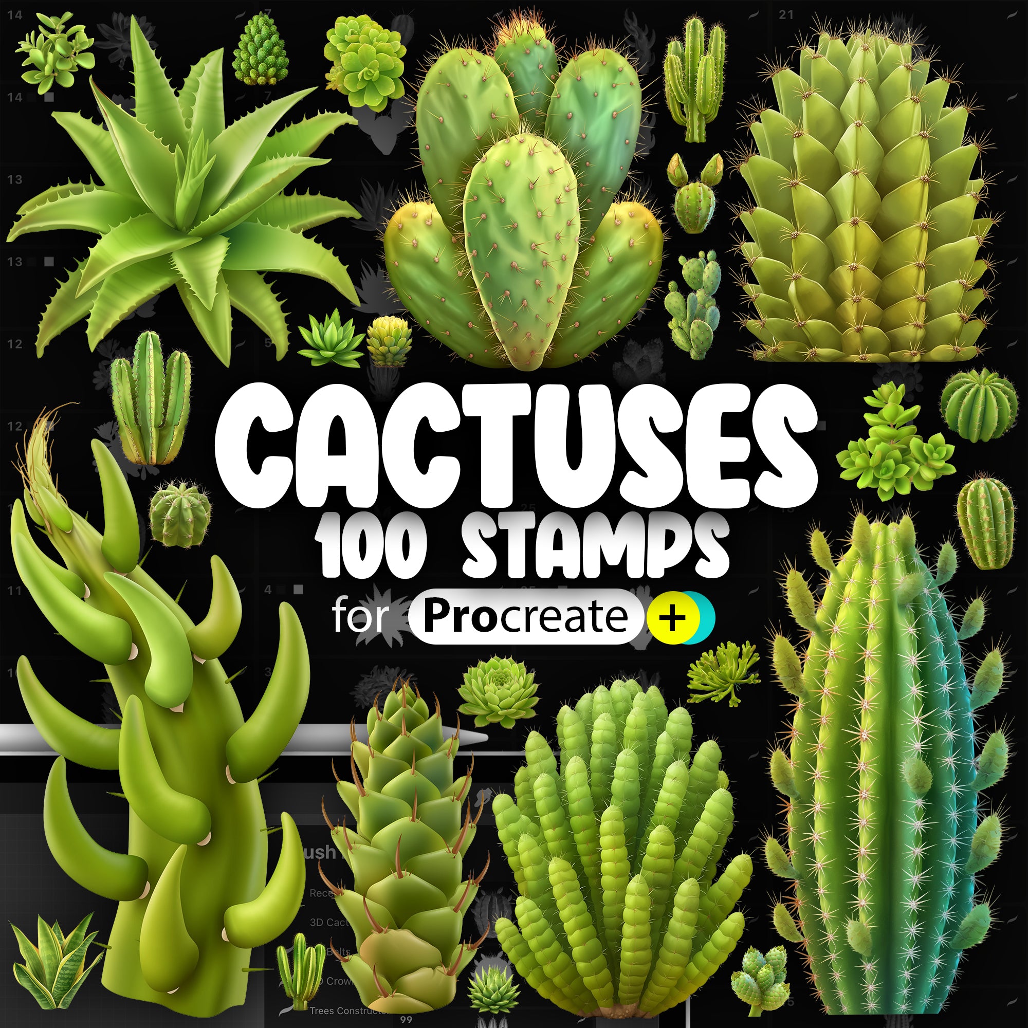 100 Procreate 2D Cactuses Stamp Brushes