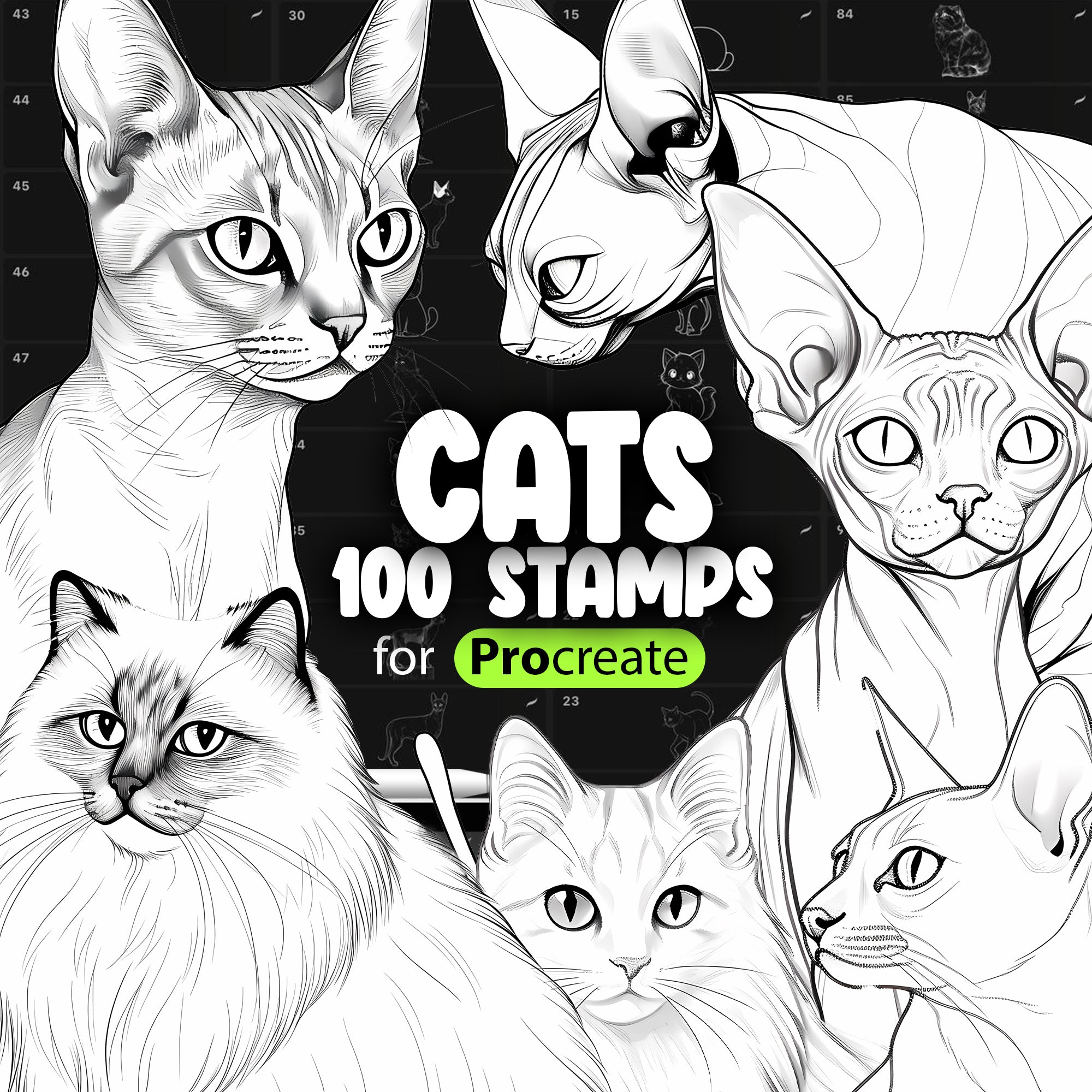 100 Procreate Cats Stamp Brushes, Procreate Animals Stamp Brushes, Procreate Cute Cats, Procreate Kawaii Cats, Procreate Kitten Brush