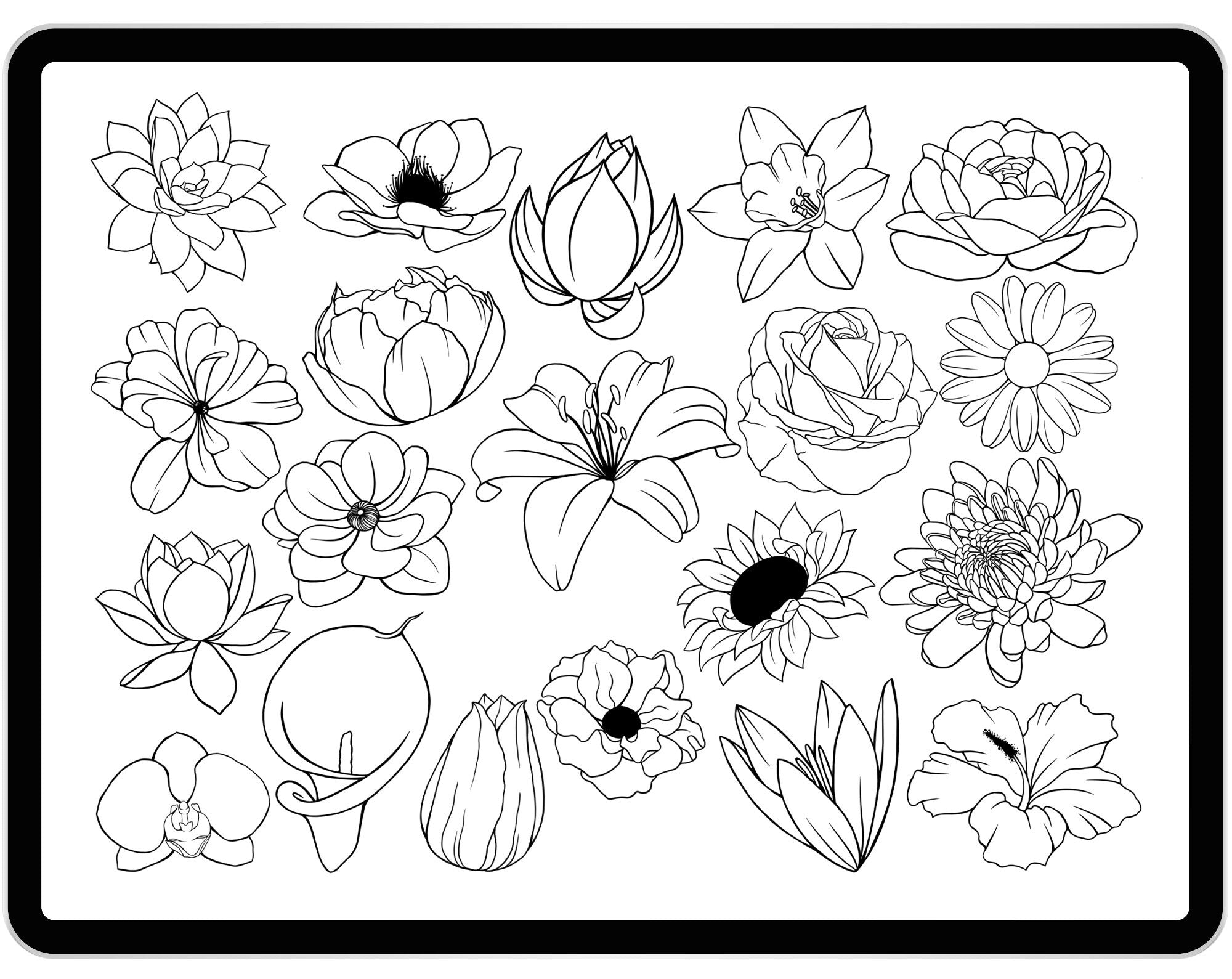 20 Procreate Flowers Stamp Brushes