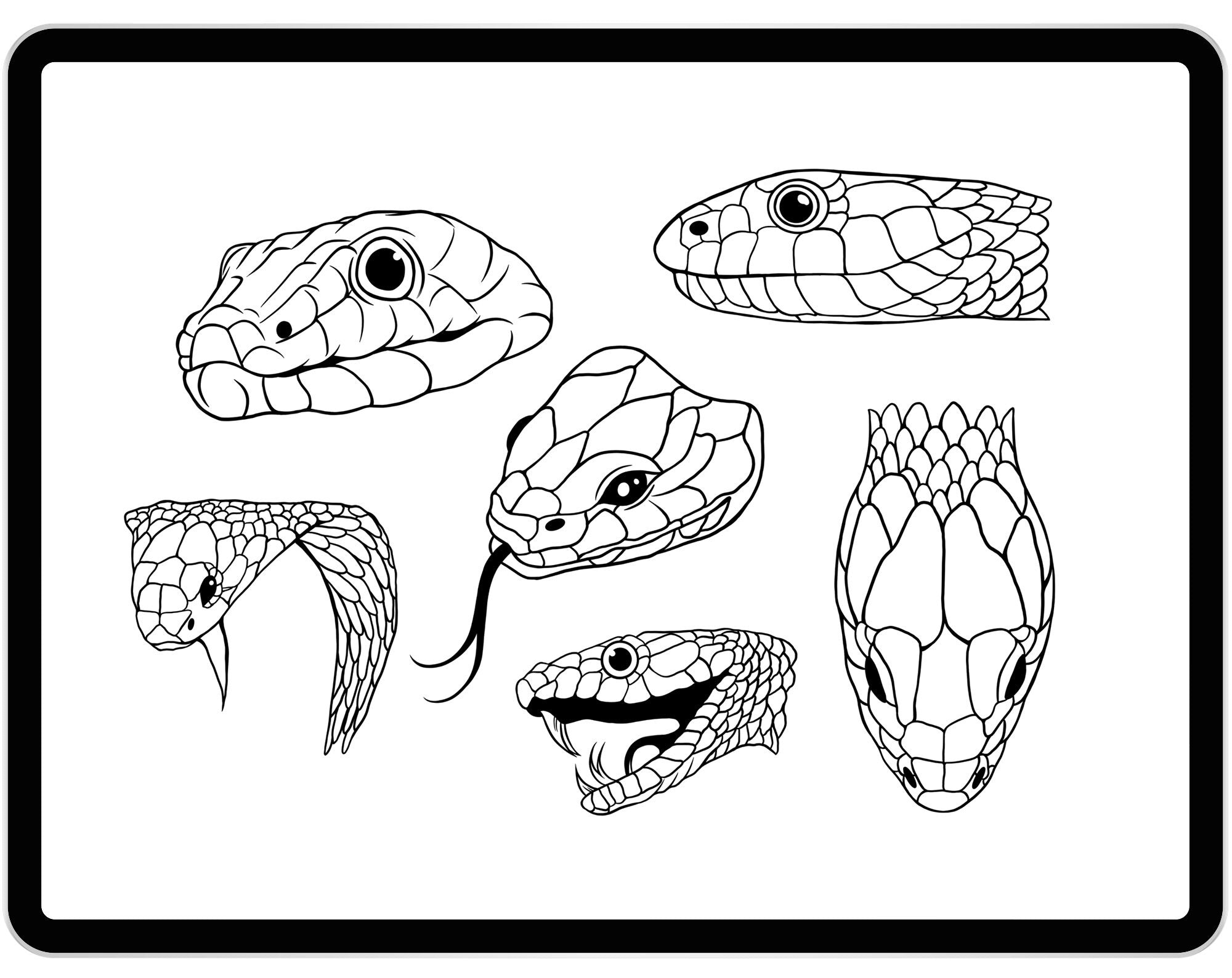 20 Procreate Snake Skin Brushes