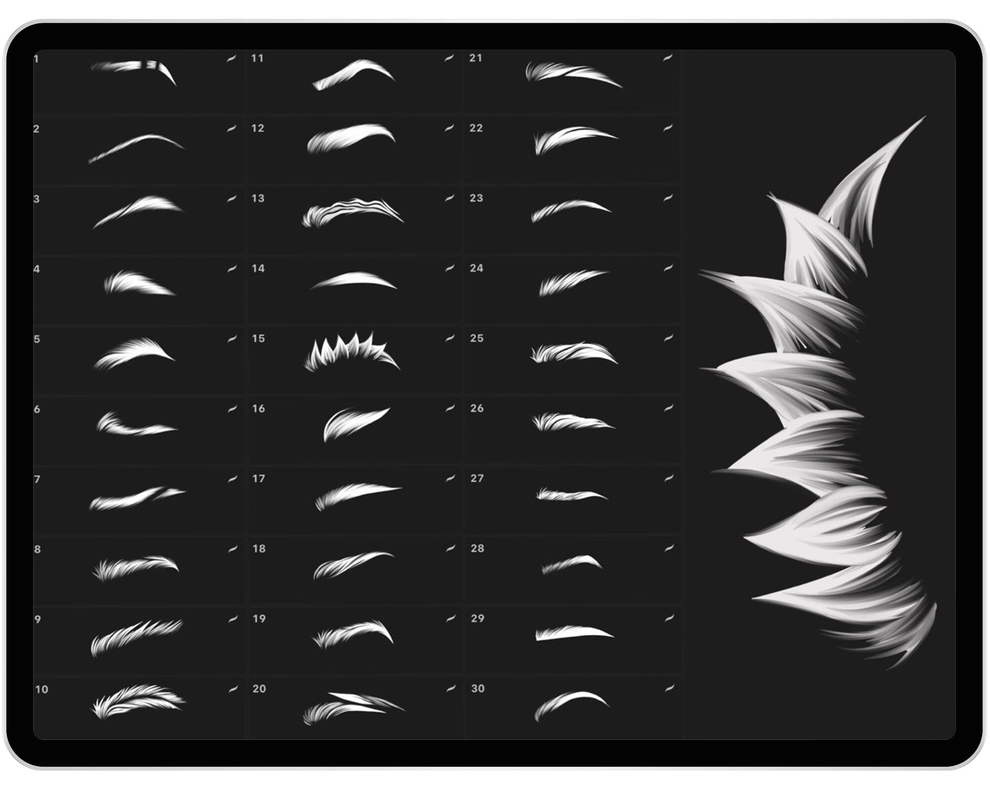 30 Eyebrows Brush for Procreate