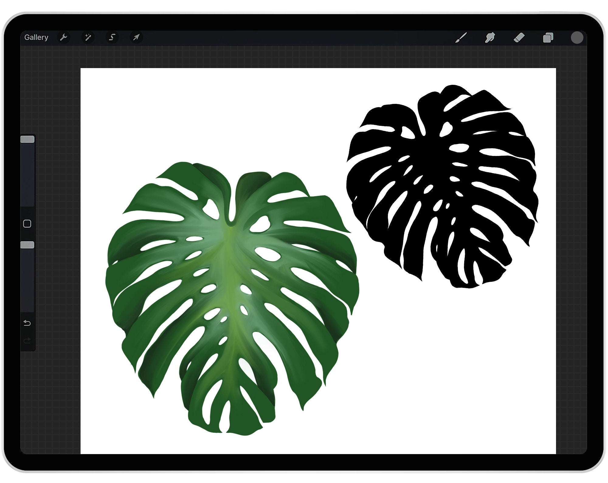 30 Procreate Tropical Leaves Stamp Brushes