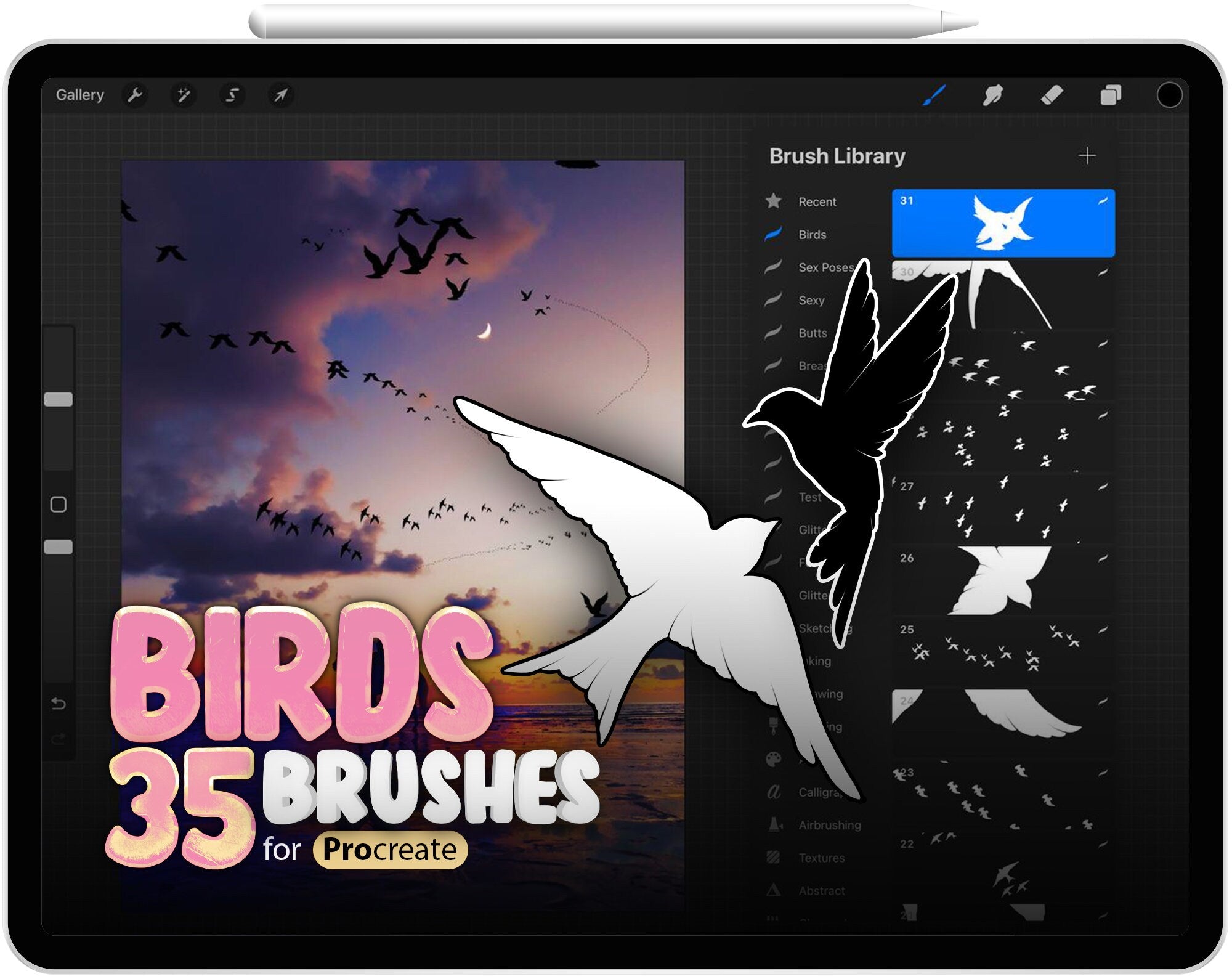 35 Procreate Birds Brushes