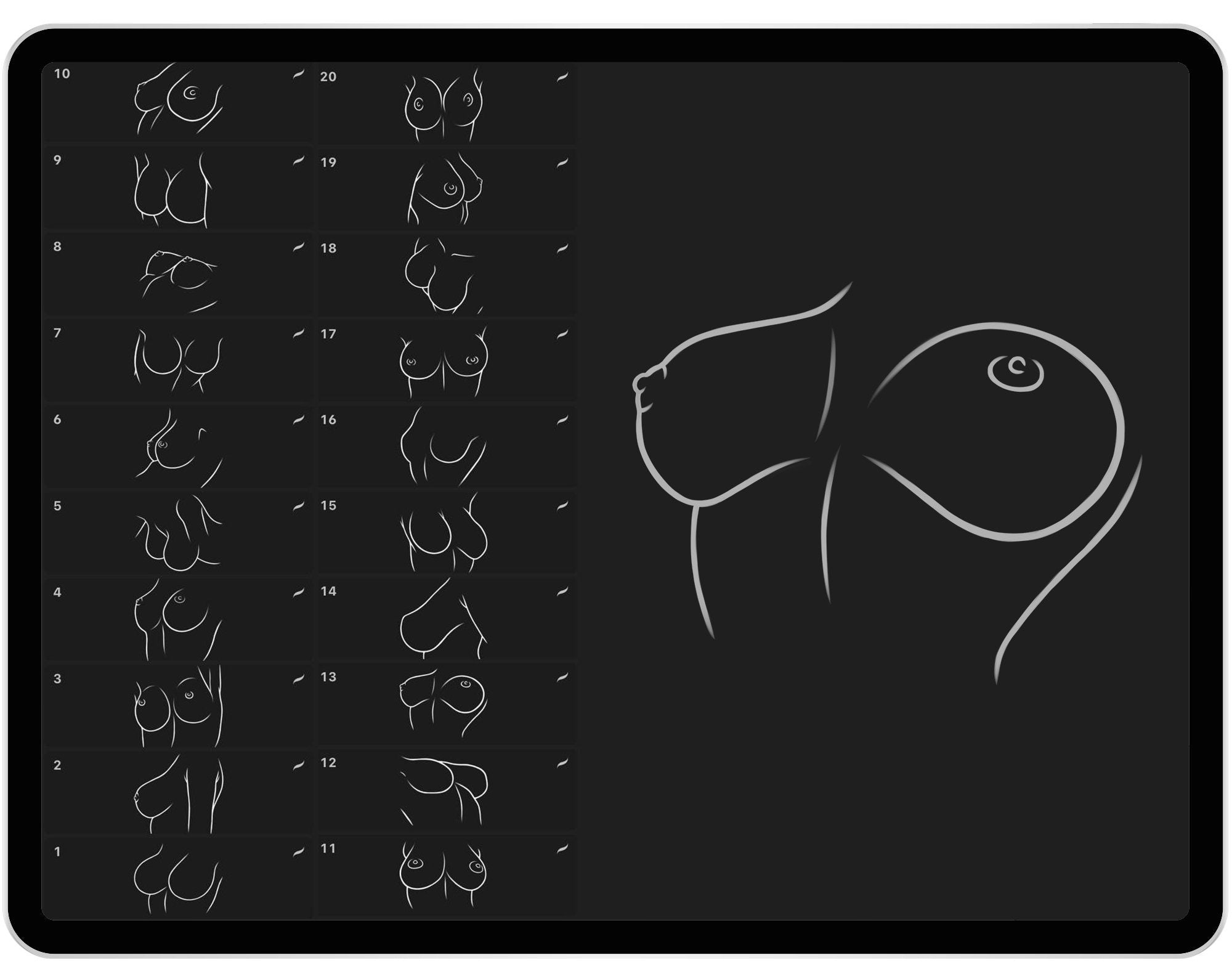 20 Procreate Breast Stamp Brushes