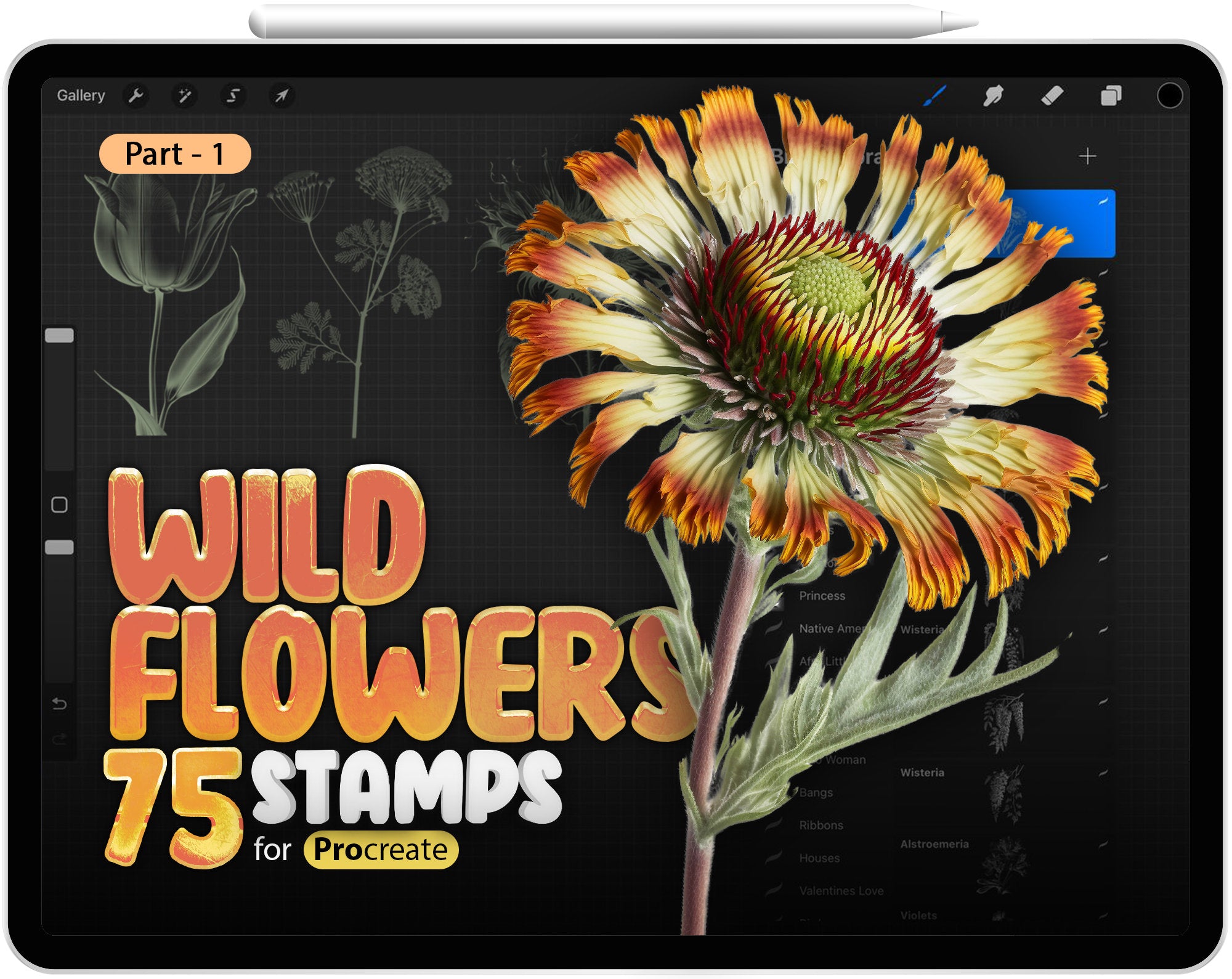 75 Procreate Wildflowers Part - 1 Stamp Brushes, Procreate Flowers, Procreate Floral, Procreate Zinnias, Procreate Yarrow,Procreate Wisteria