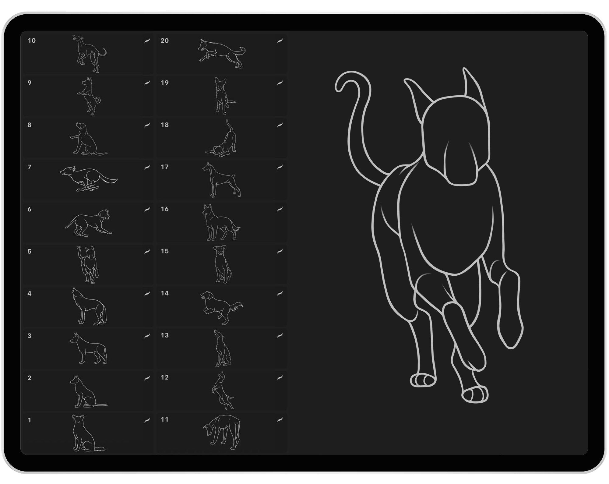 30 Procreate Dogs Stamp Brushes