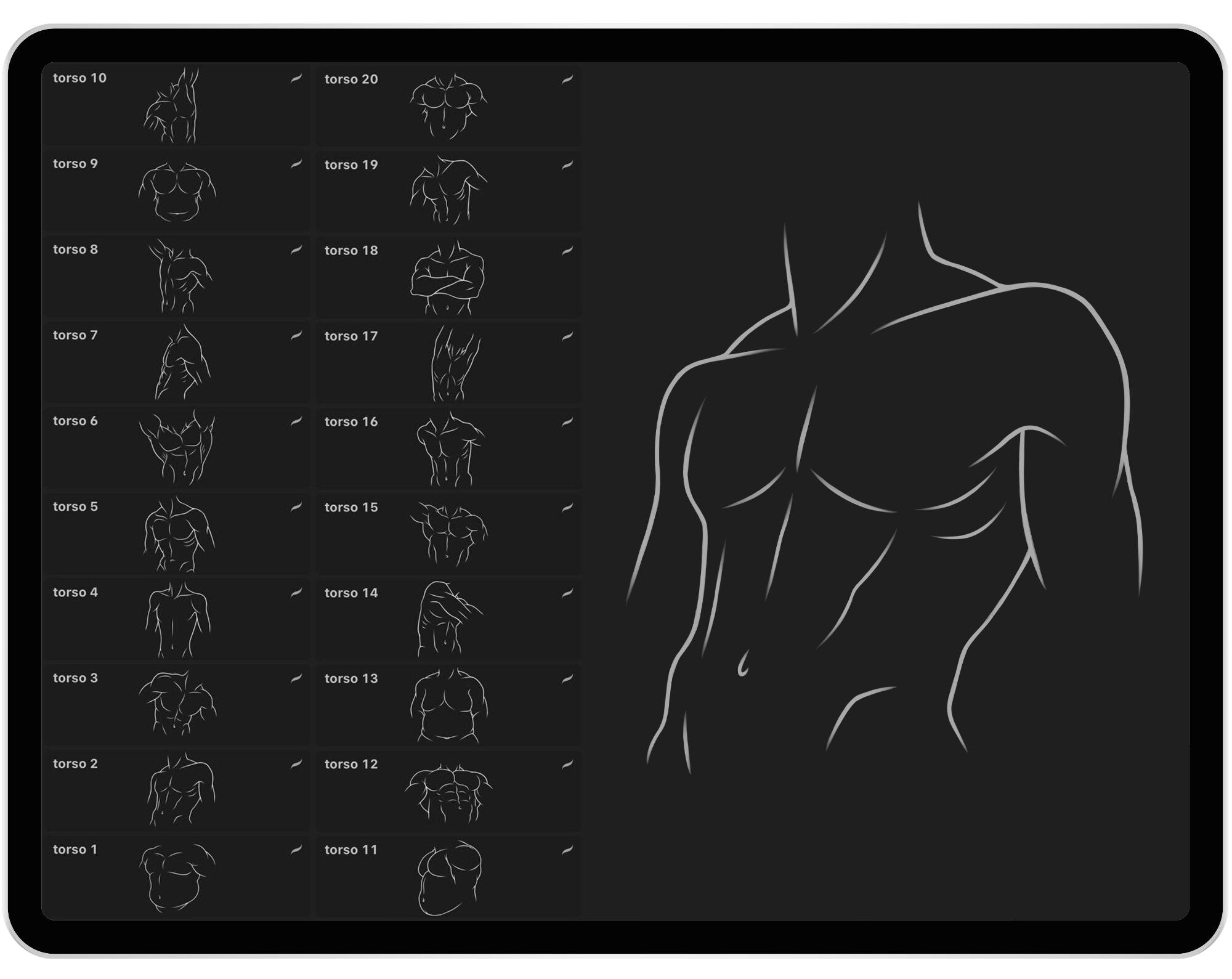 20 Procreate Men Torso Stamp Brushes