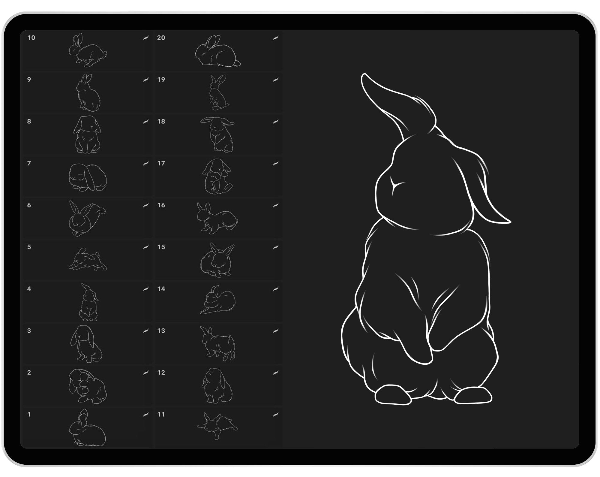 20 Rabbit Stamps for Procreate