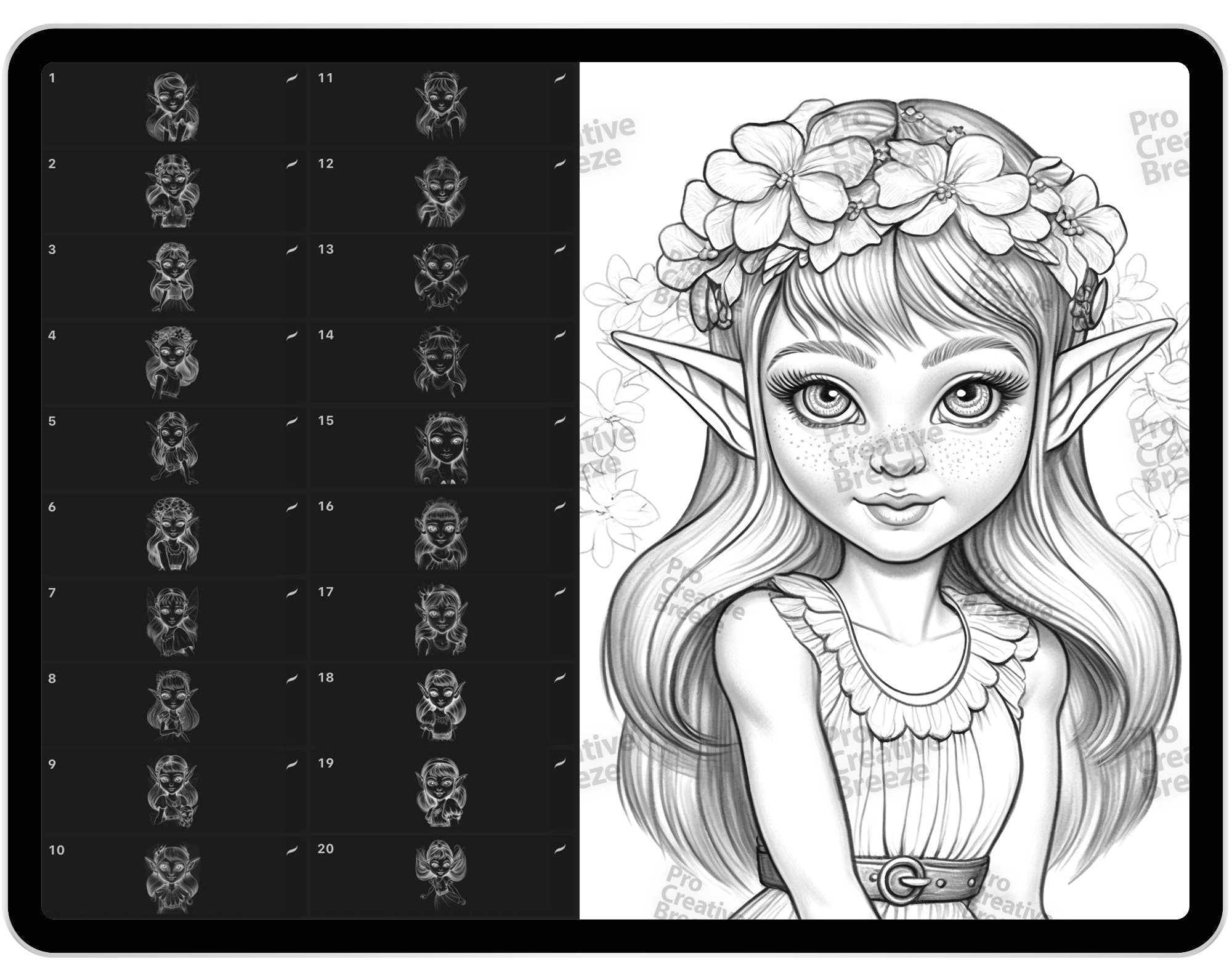 25 Fairy Elves Brushes for Procreate and Photoshop