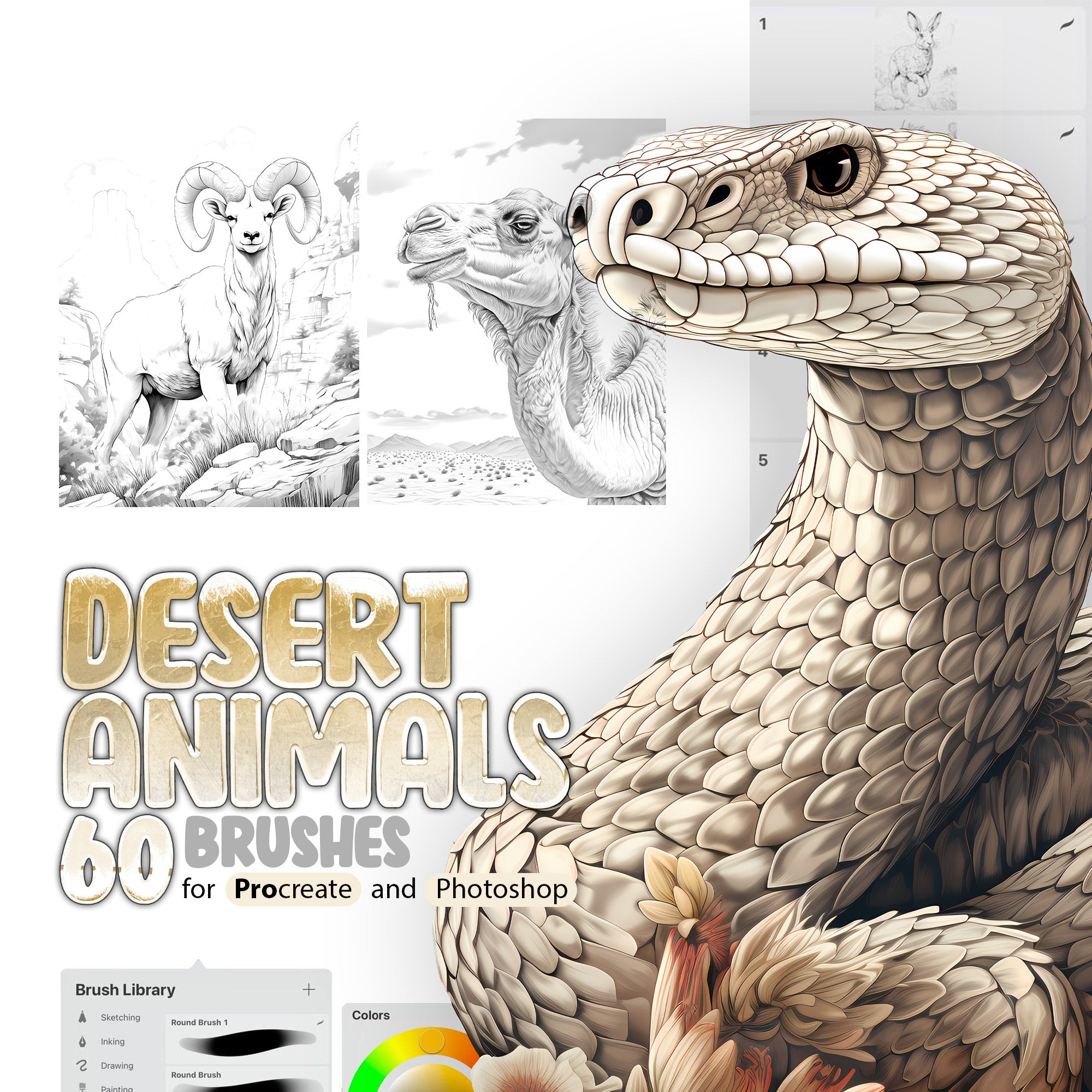 60 Desert Animals Stamp Brushes for Procreate and Photoshop