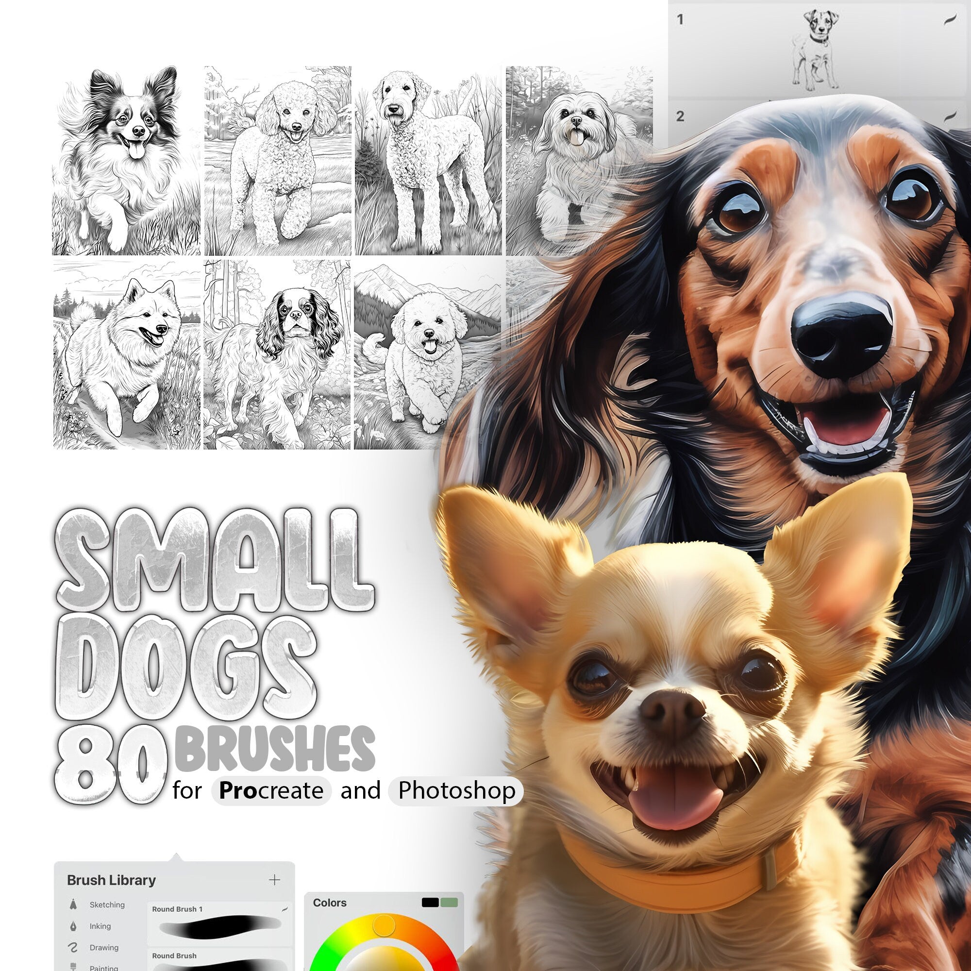 80 Small Dog Breeds Brushes for Procreate and Photoshop