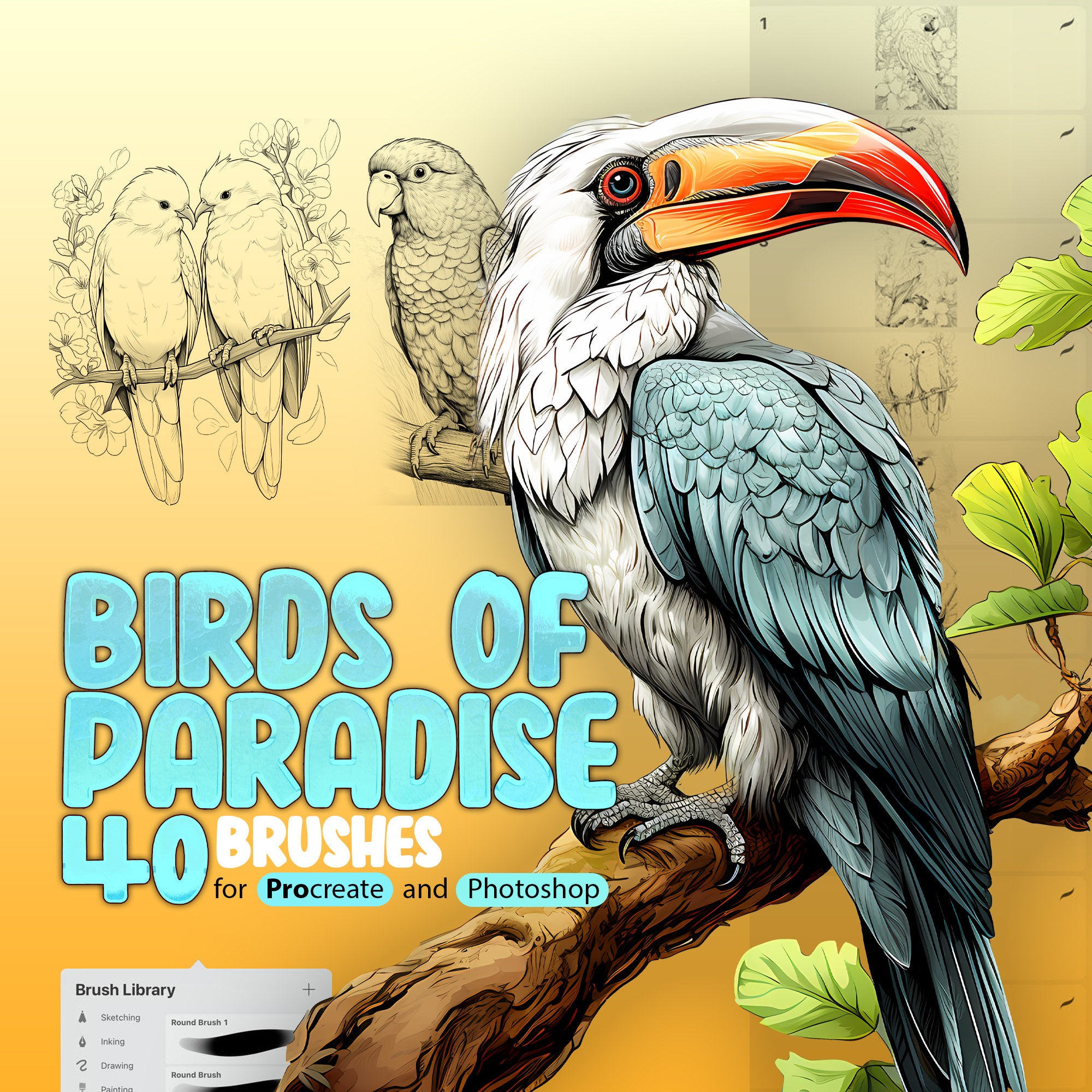 40 Birds of Paradise Stamp Brushes for Procreate and Photoshop