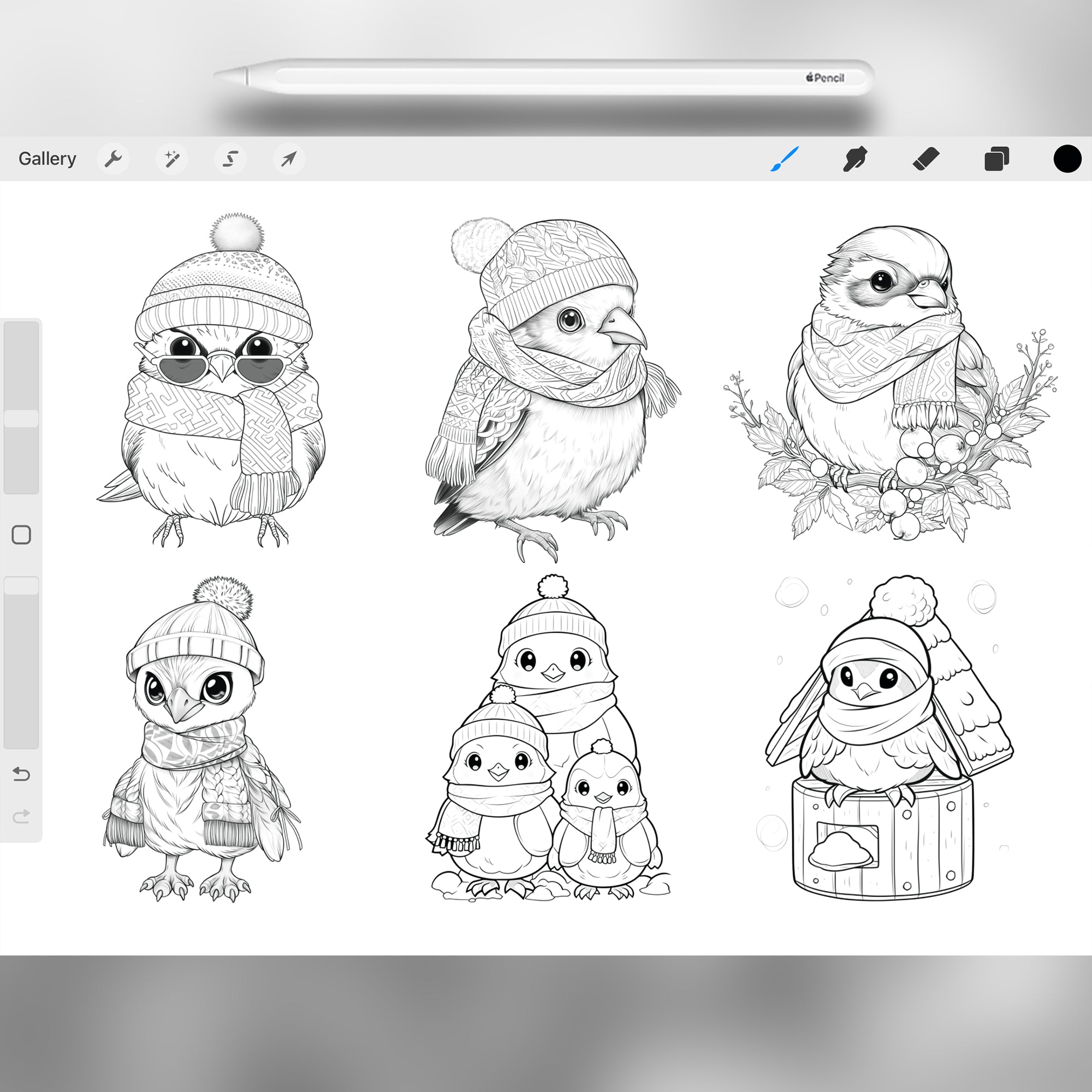 100 Procreate Winter Birds Stamps Brushes