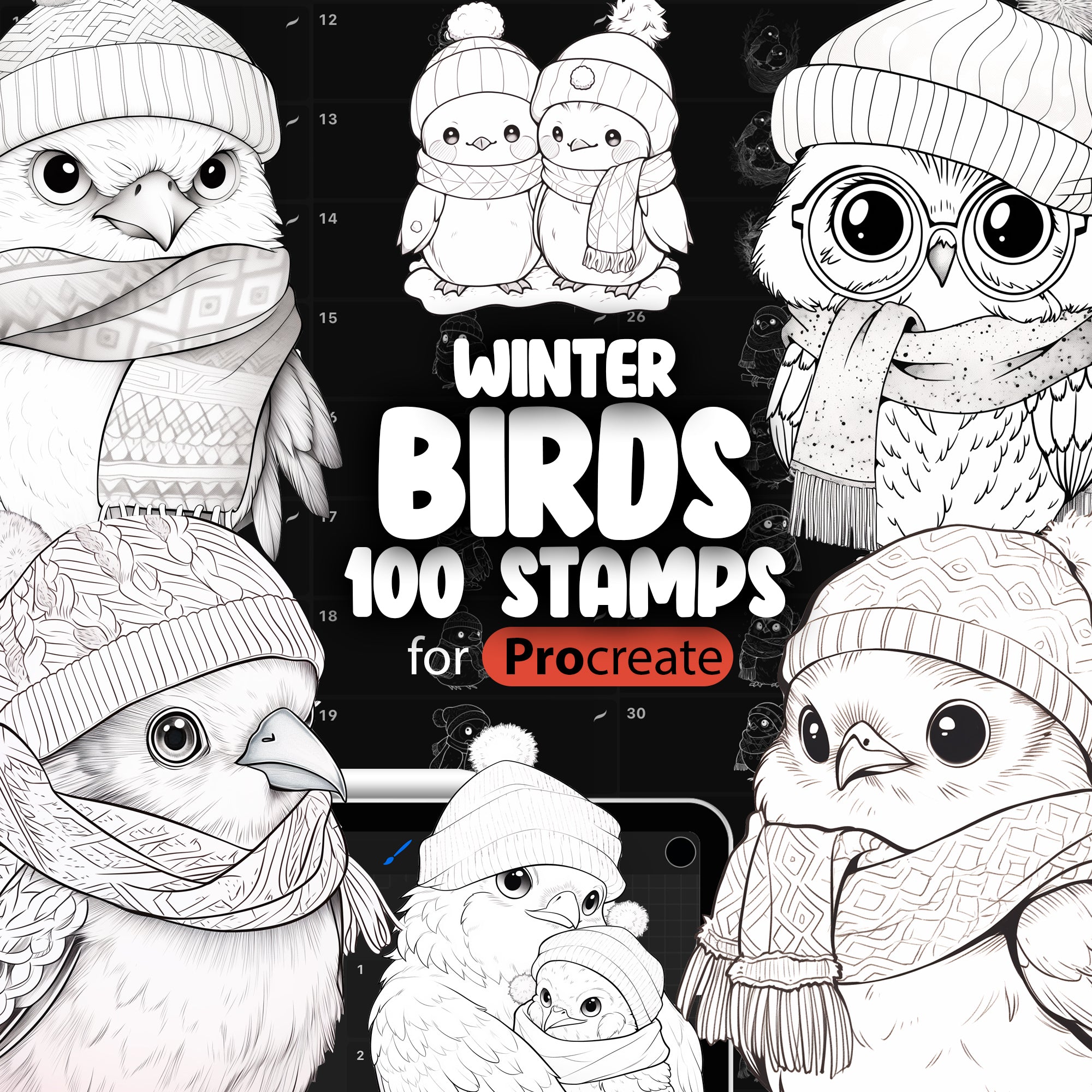 100 Procreate Winter Birds Stamps Brushes