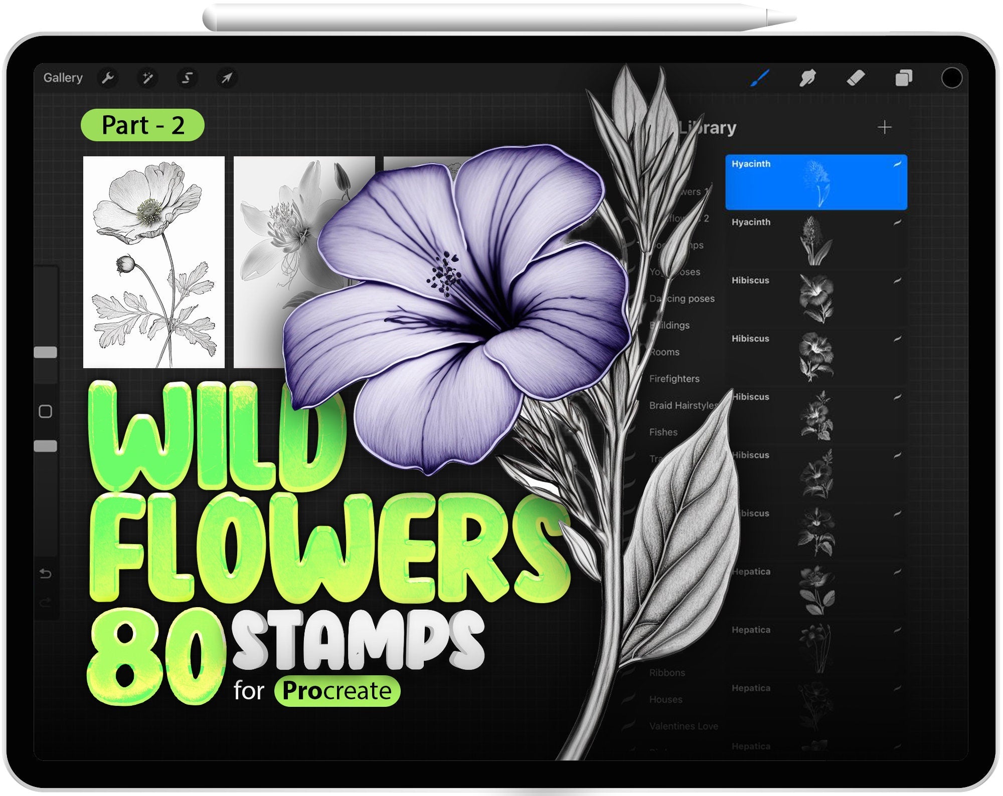 80 Procreate Wildflowers Part - 2 Stamp Brushes, Procreate Flowers, Hyacinth, Hibiscus, Hepatica, Gladioli, Gerberas, Gaillardia