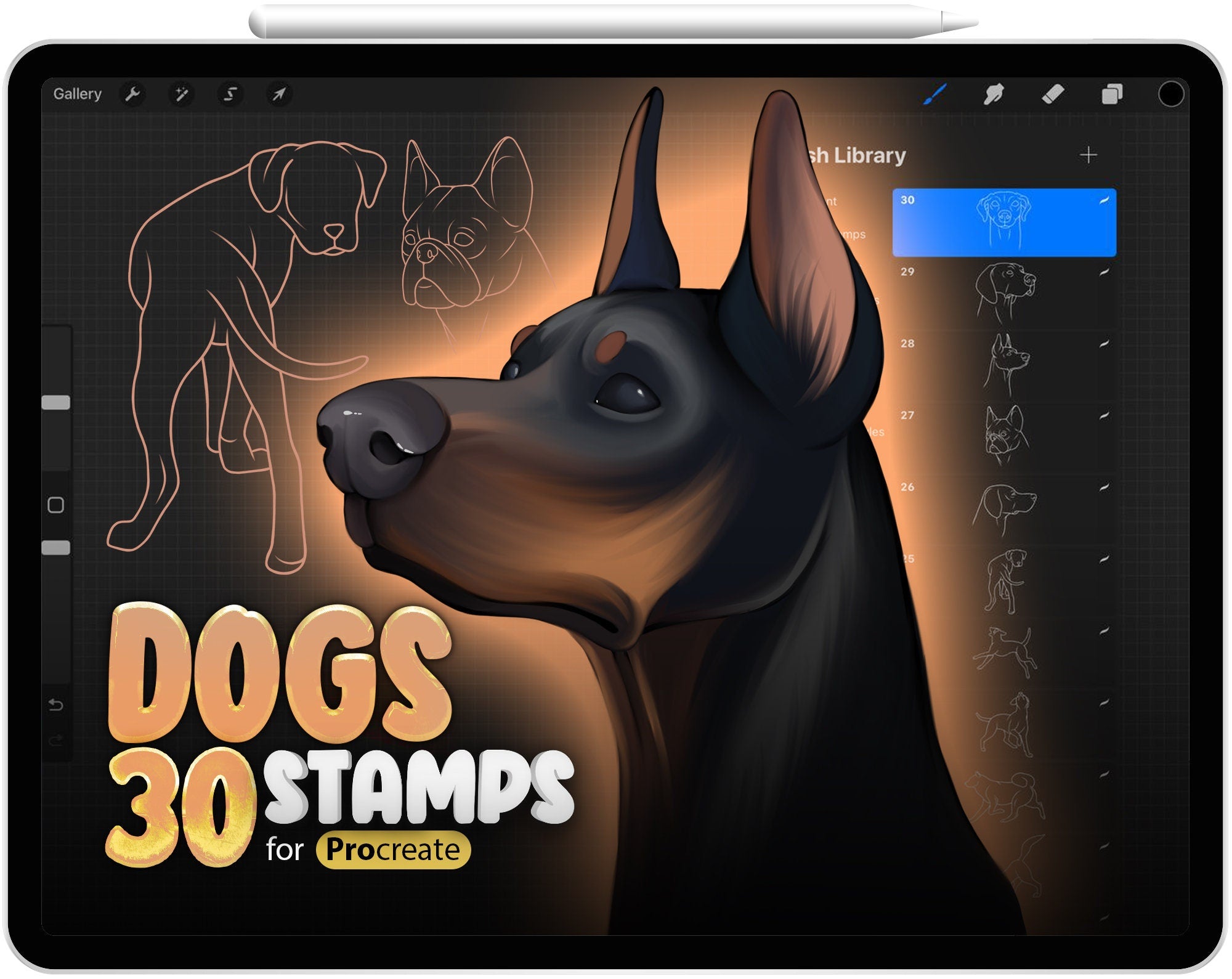 30 Procreate Dogs Stamp Brushes, Procreate Dog Poses Reference, Procreate Animals Reference Brush, Procreate Dog Head, Procreate Dog Dreed