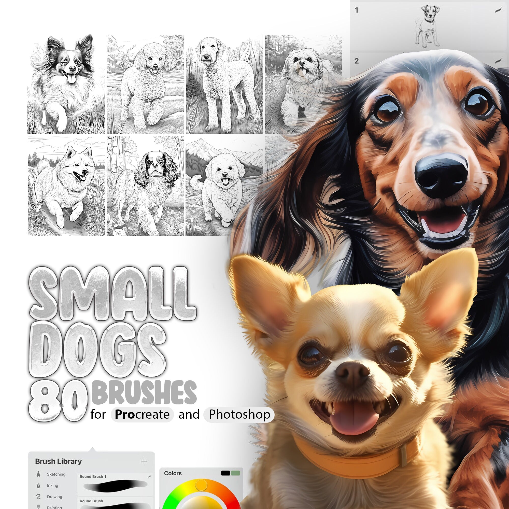 80 Small Dog Breeds Procreate Brushes, 80 Small Dog Breeds Photoshop Brushes, Procreate Dogs Stamp Brushes, Procreate Puppy Brush